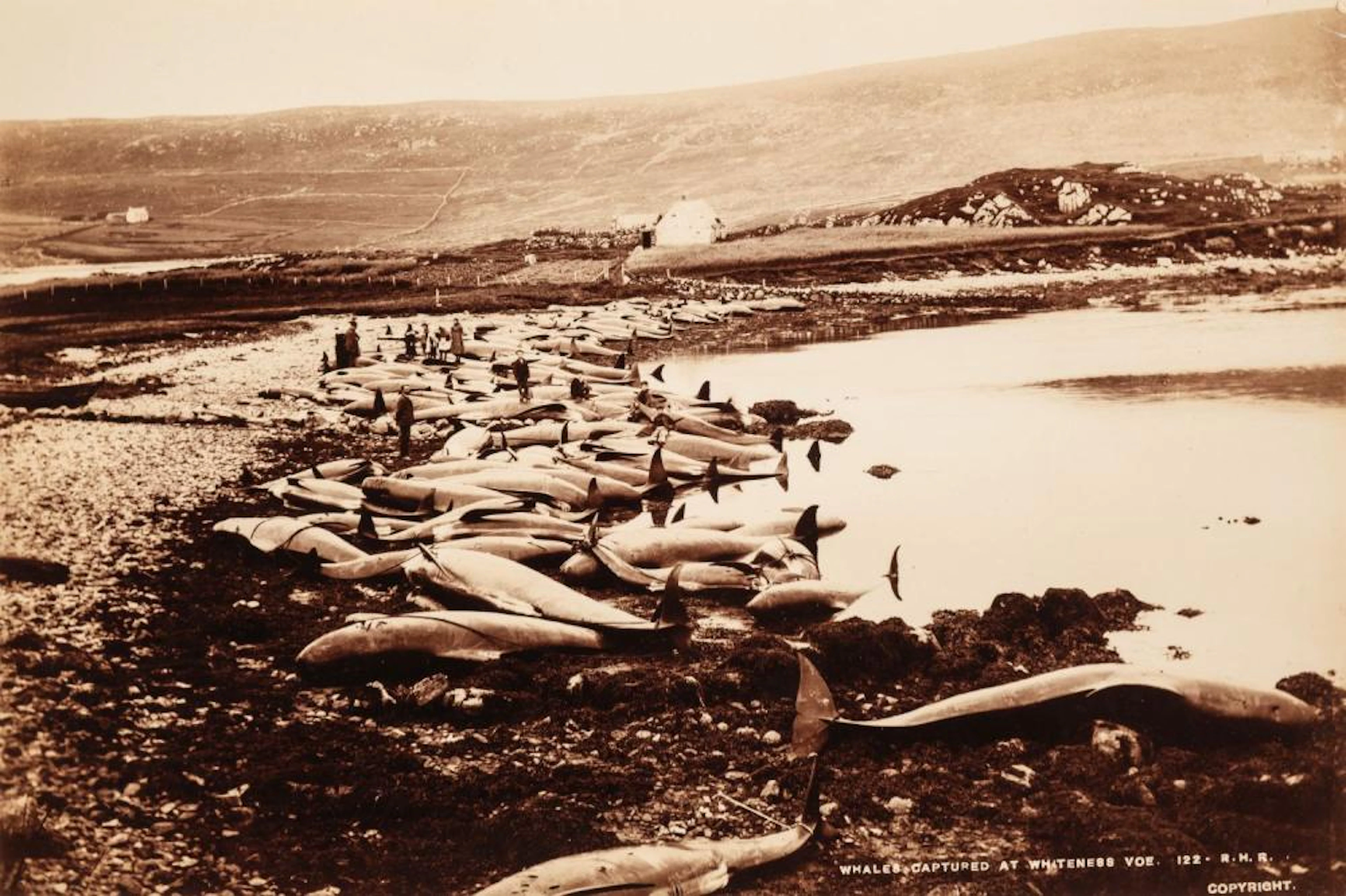 Scotland. A group of 24 photographs of Shetland and Hebrides scenes