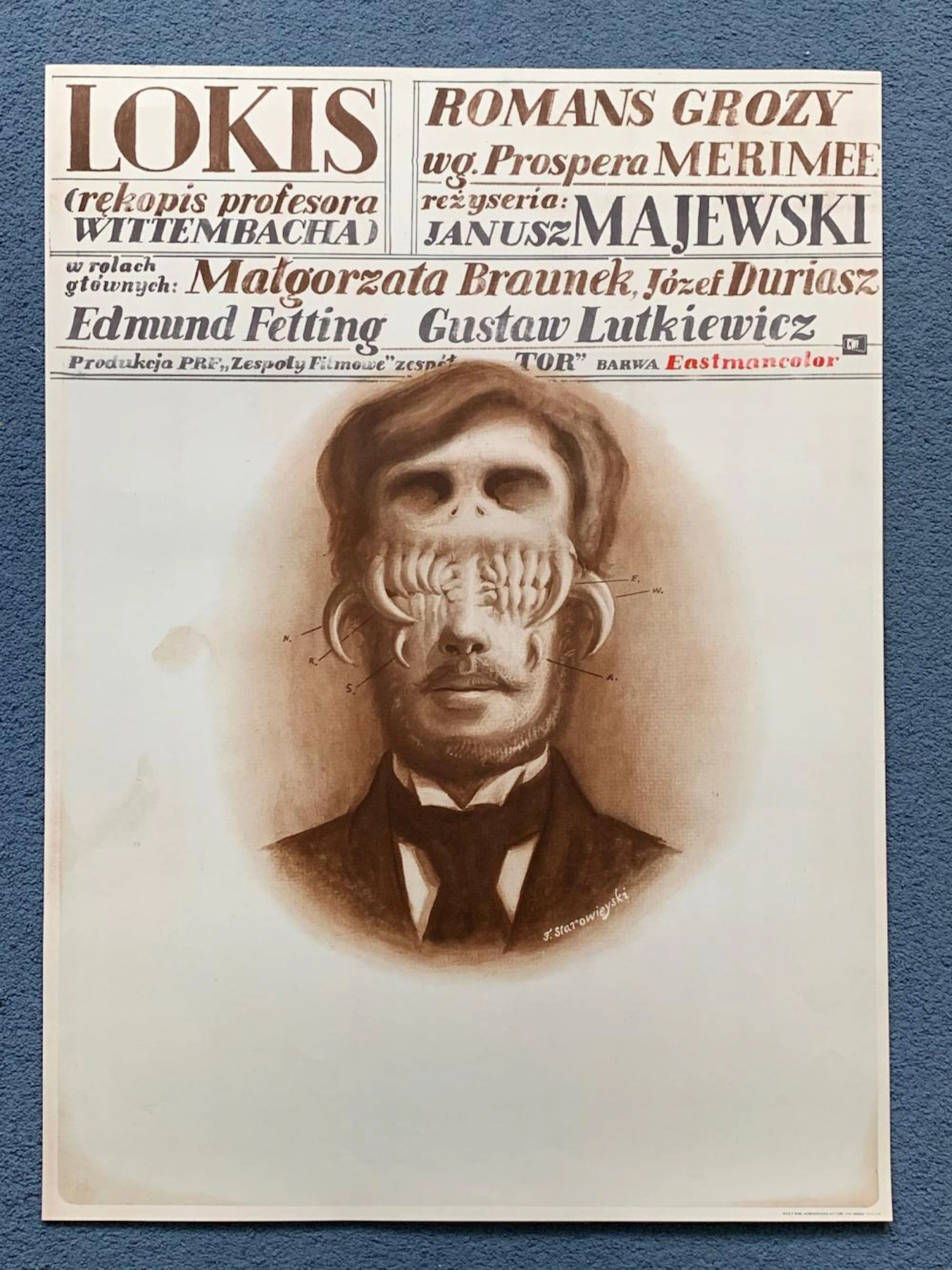 THE BEAR: PROFESSOR WITTEMBACH'S MONOGRAPH (1970) "Lokis"...