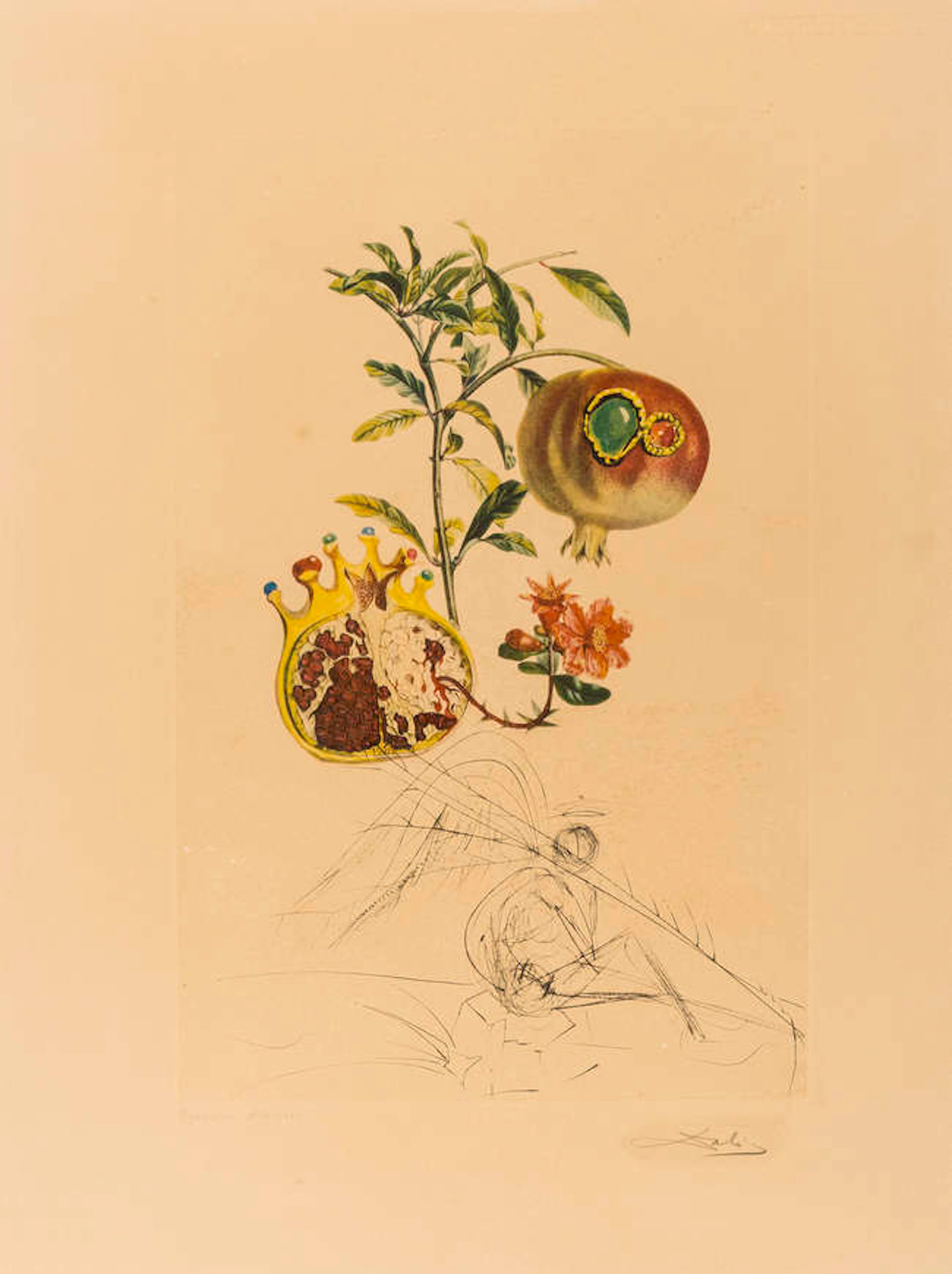 Salvador Dali (1904-1989) Grenade et l'ange (Field 69-11L; M&L 355e)