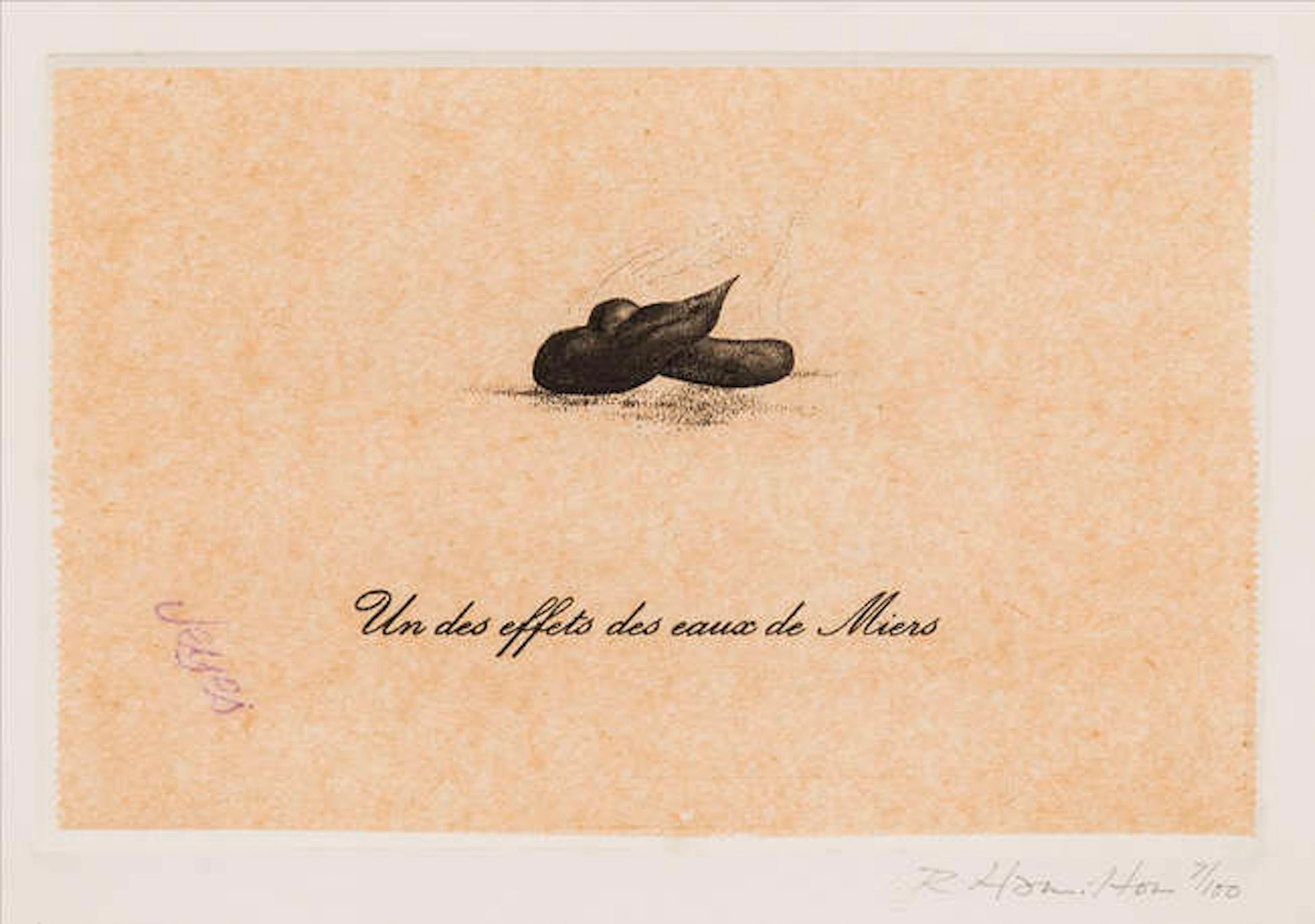 Richard Hamilton (1922-2011) Un des effets des eaux de miers