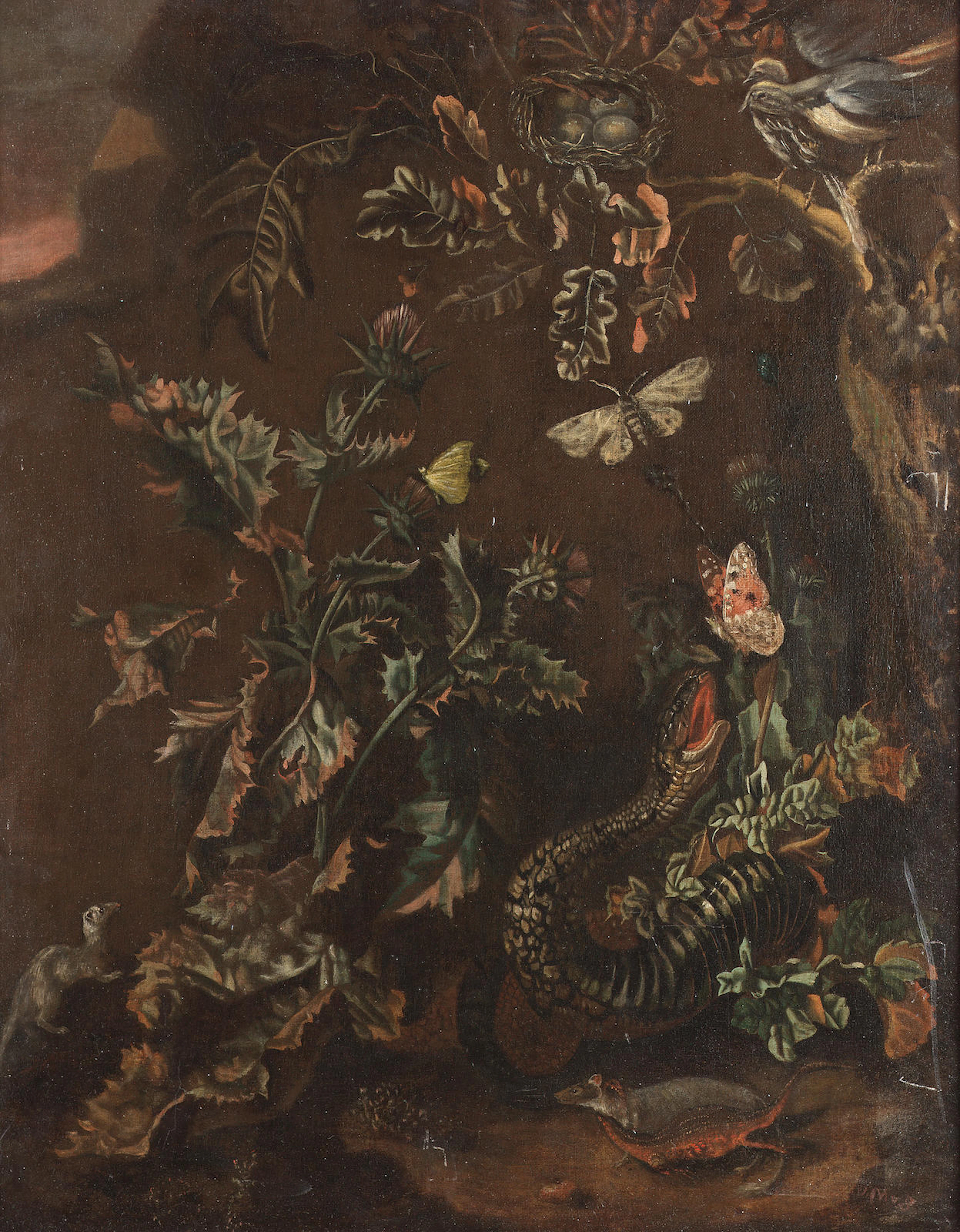 A snake and butterflies amongst thistles on a forest floor