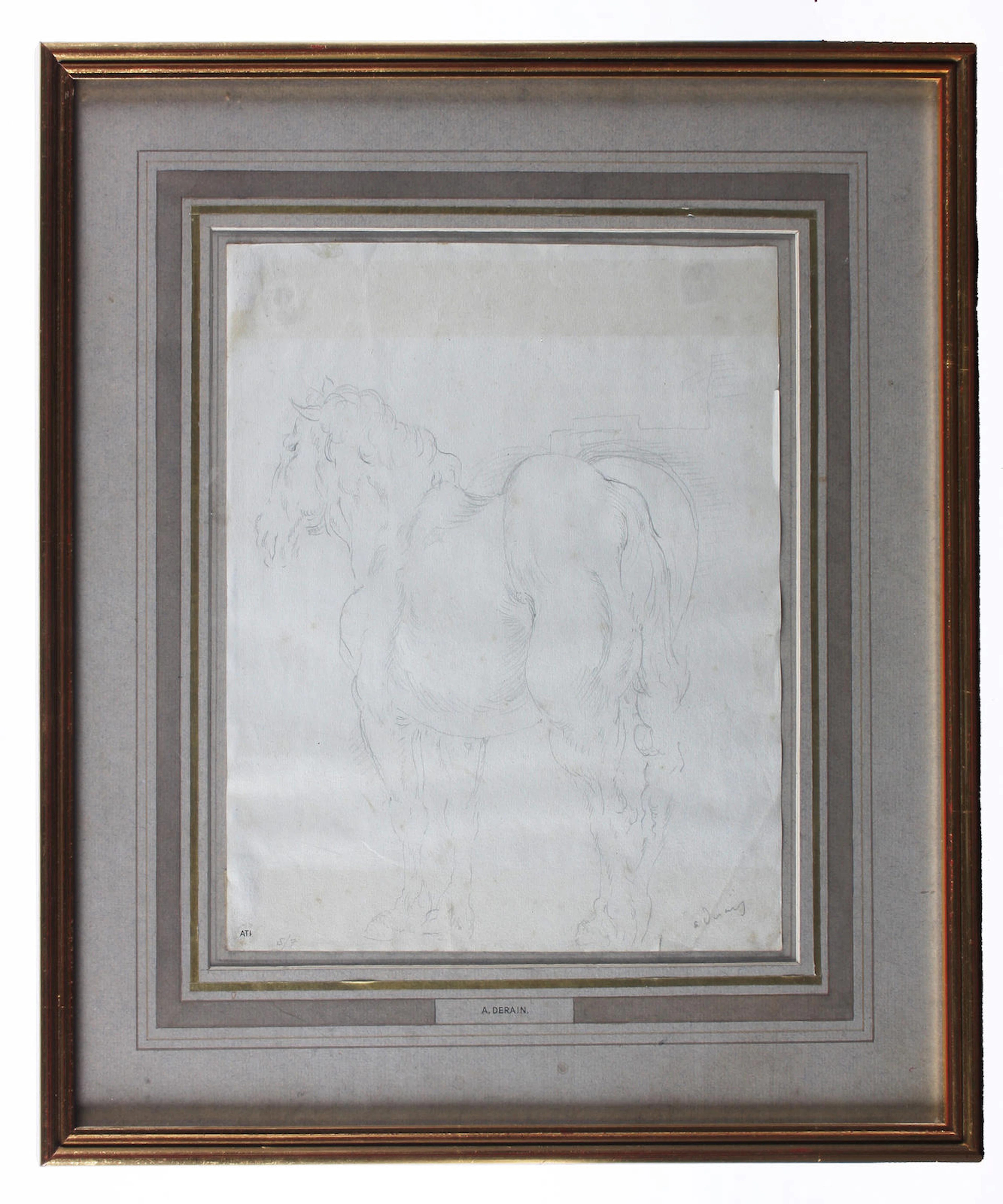 Study of a horse