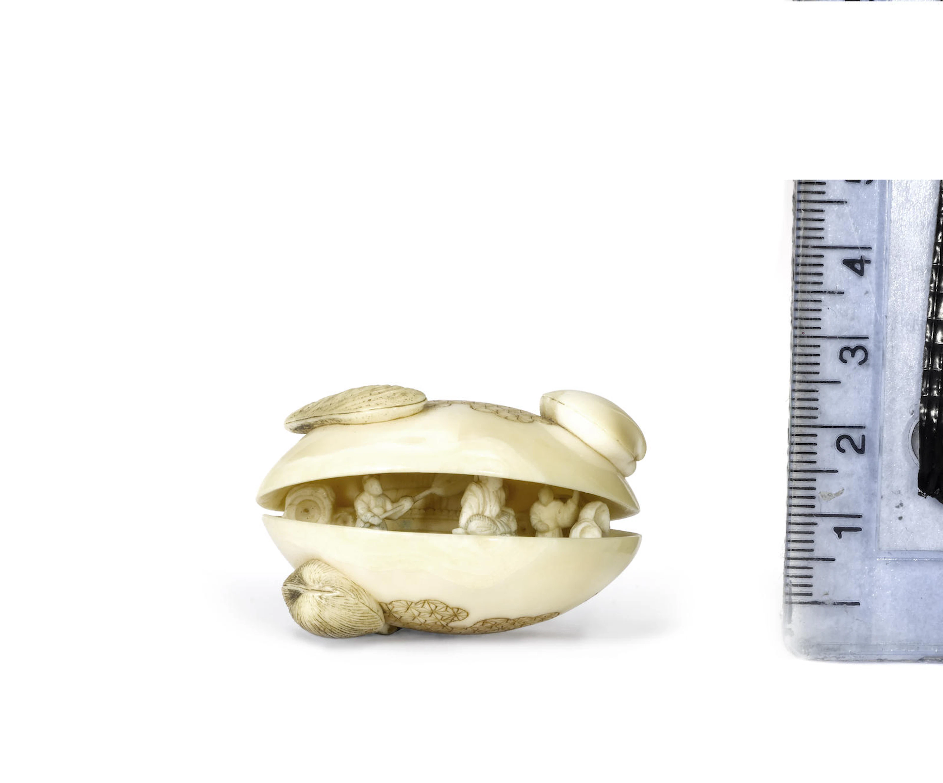 An walrus tusk netsuke of a clam By Yoshichika, 19th century