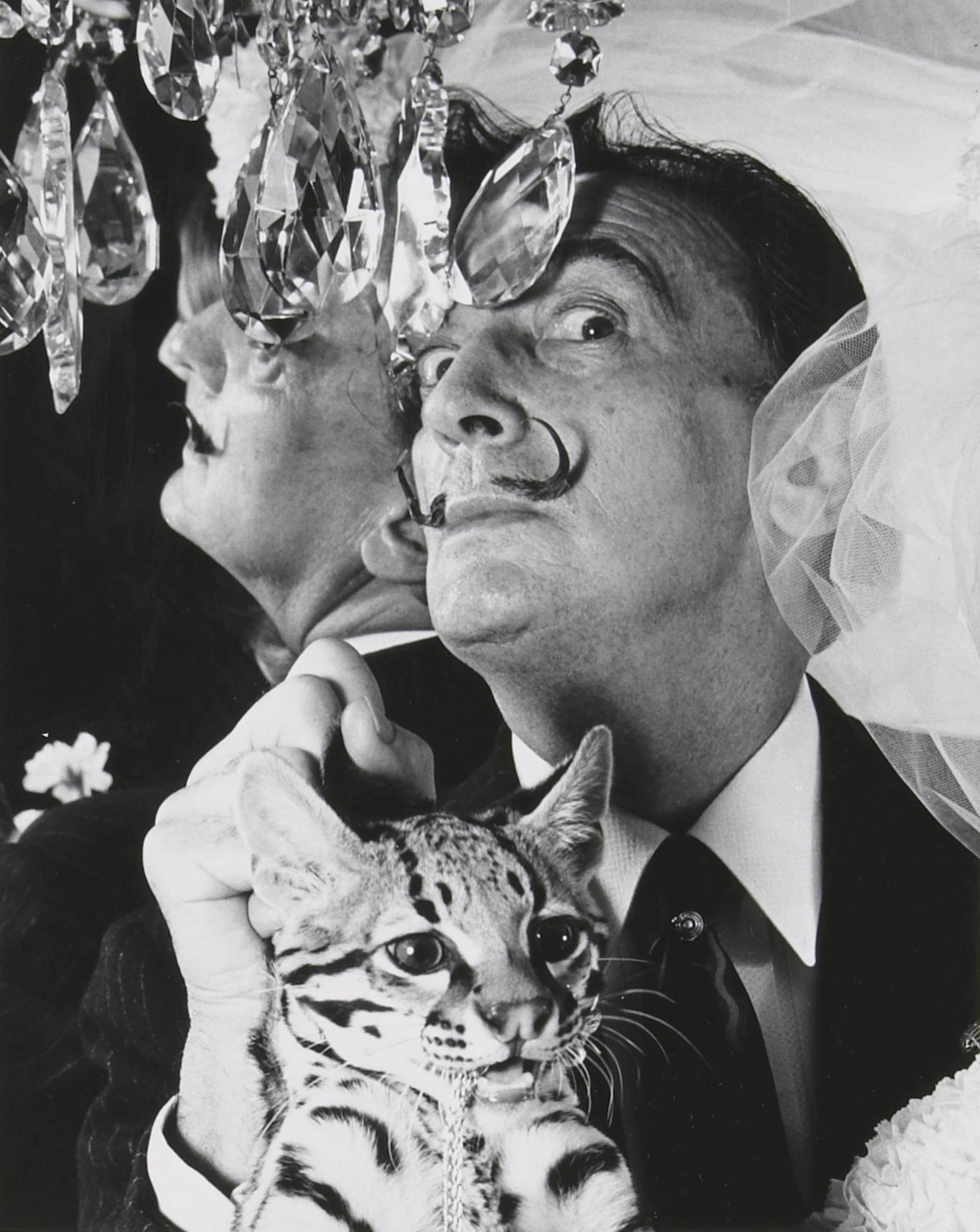 Edward Pfizenmaier (American, born 1926); Salvador Dalí with Ocelot;