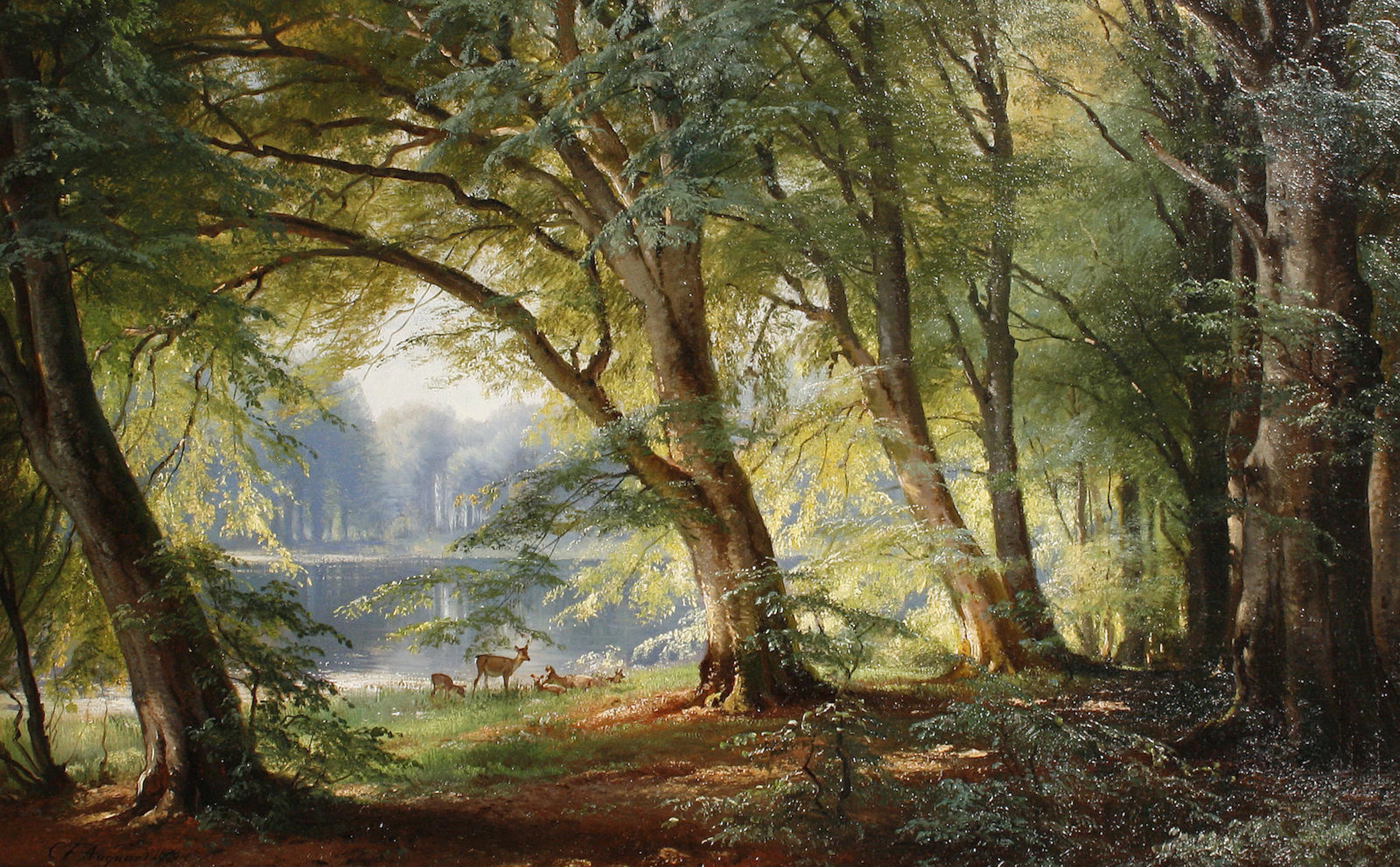 Deer beside a lake