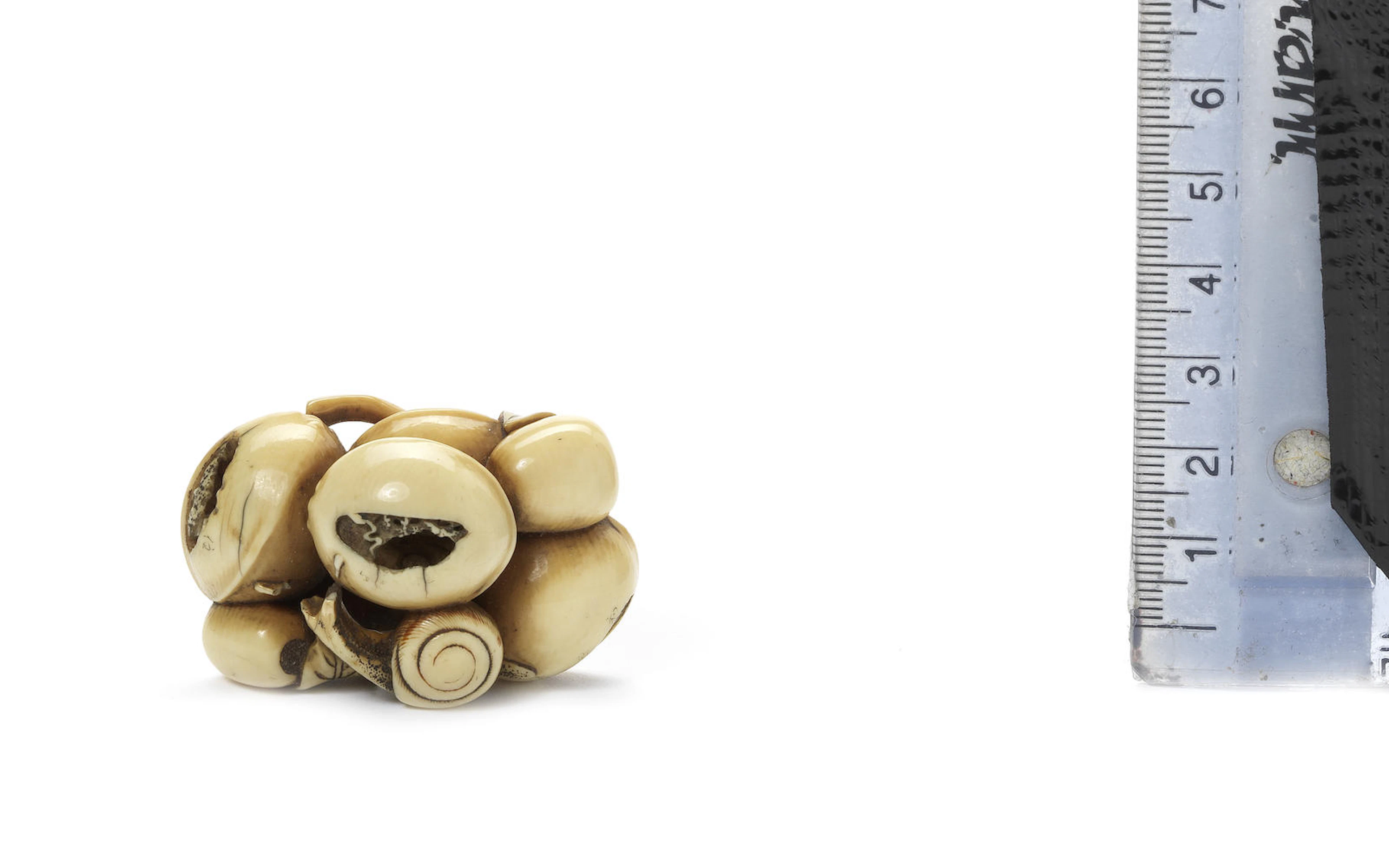 An ivory netsuke of snail and nuts By Gyokuhosai, Edo Period, 19th century