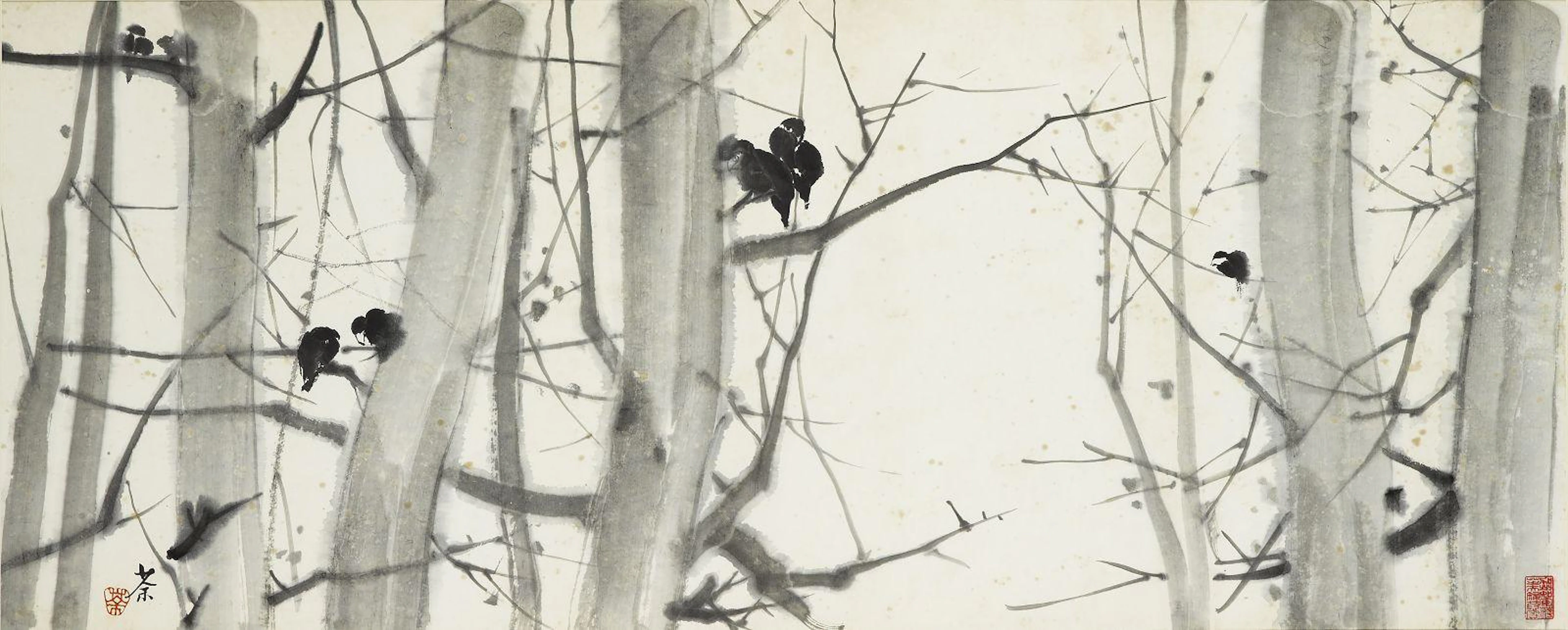 Birds in Forest