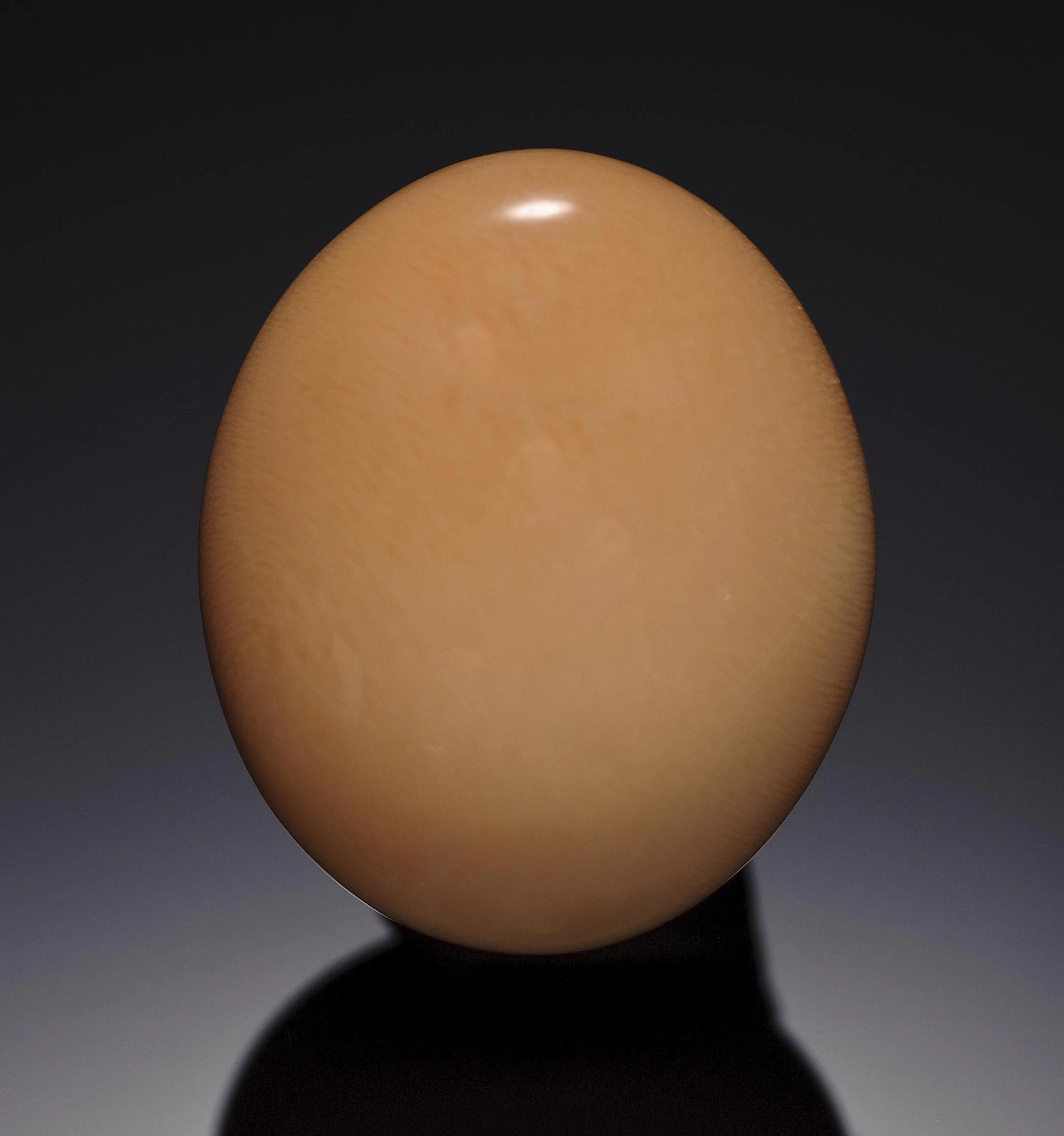 Rare Natural Non-Nacreous Melo Pearl