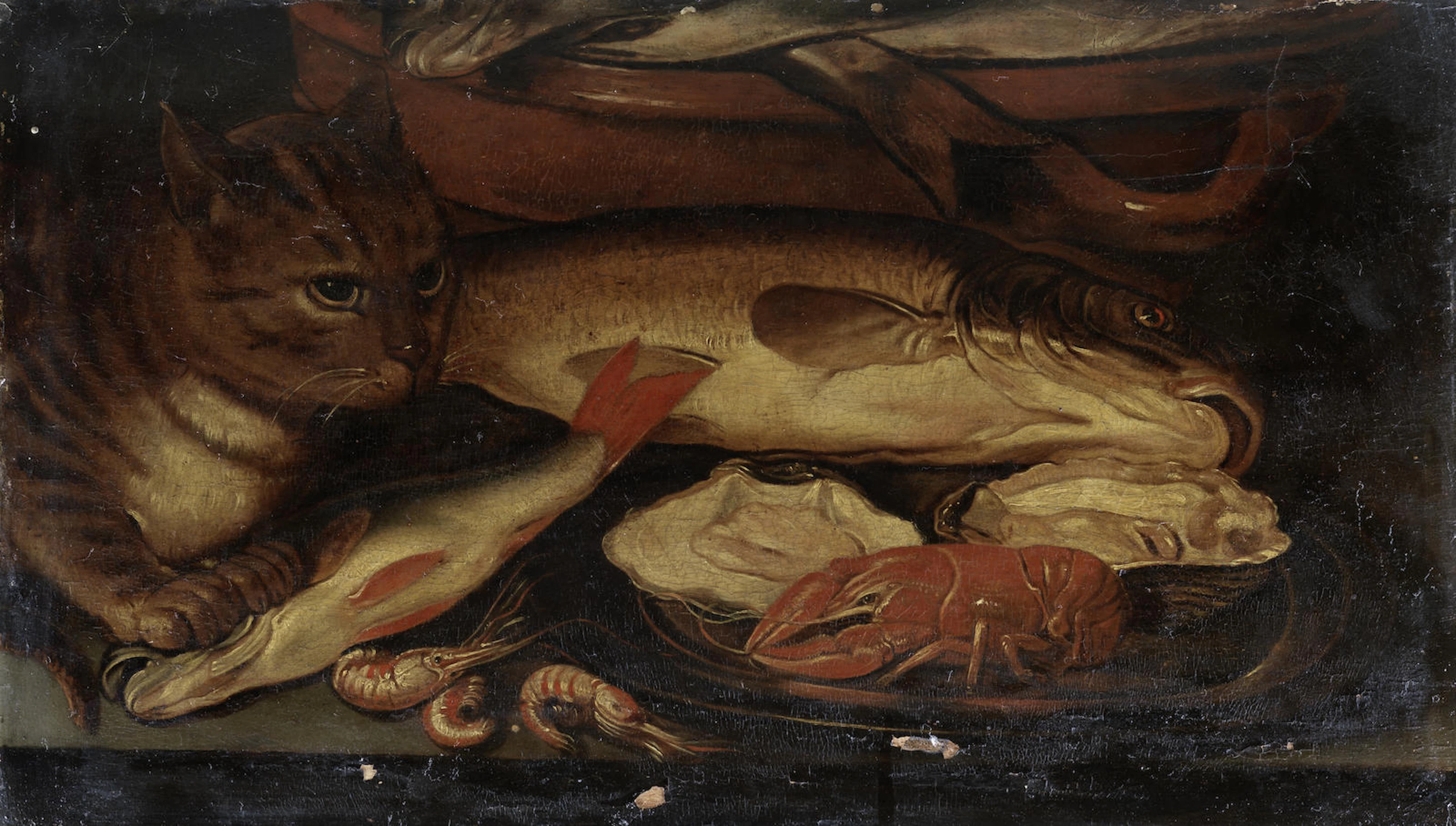 Studio of Clara Peeters (Antwerp circa 1589-circa 1657 ?) A cat before an earthenware bowl of fish