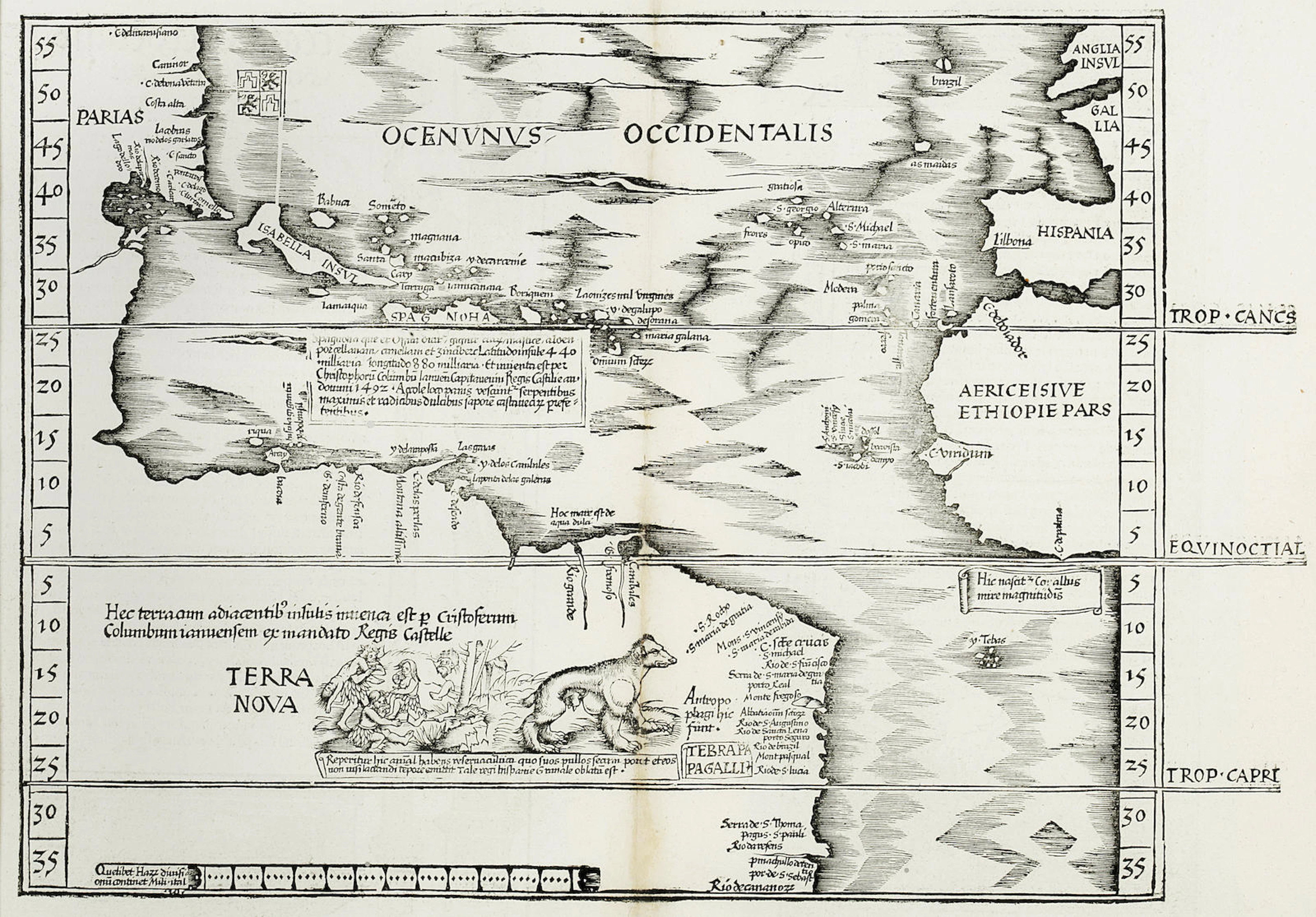 WALDSEEMÜLLER, MARTIN, & LAURENT FRIES. Oceani occidentalis seu Terrae Novae tabula (titled on verso). [Strasbourg, 1525.]
