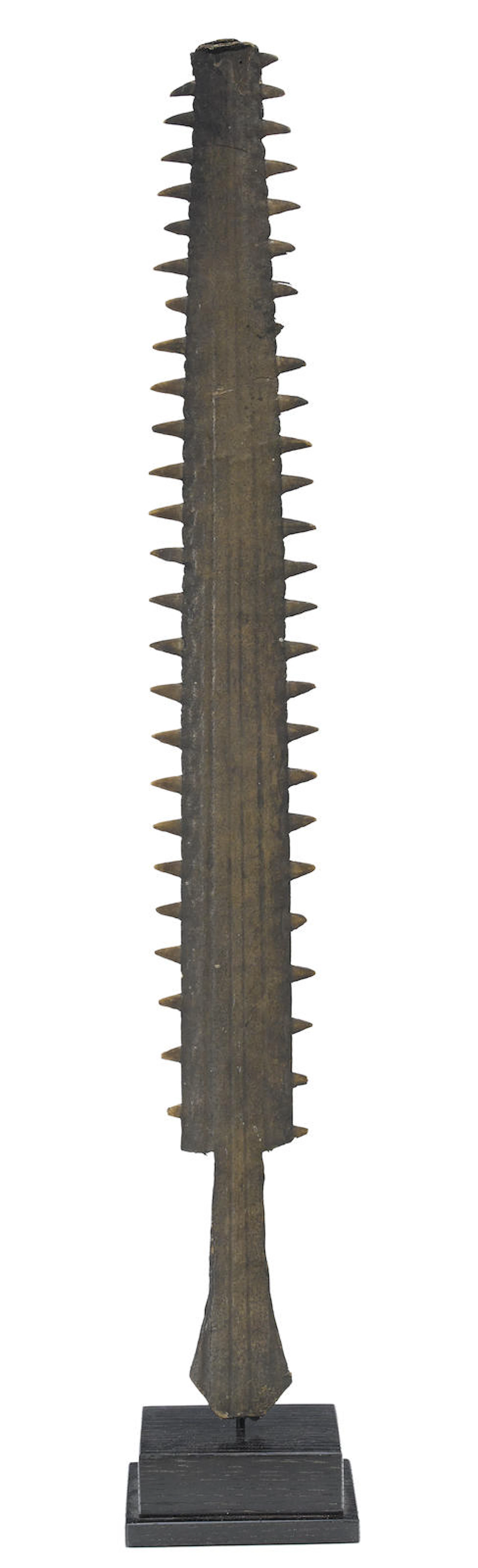 Rare Saw Fish Weapon, Nukuoro Atoll, Caroline Islands