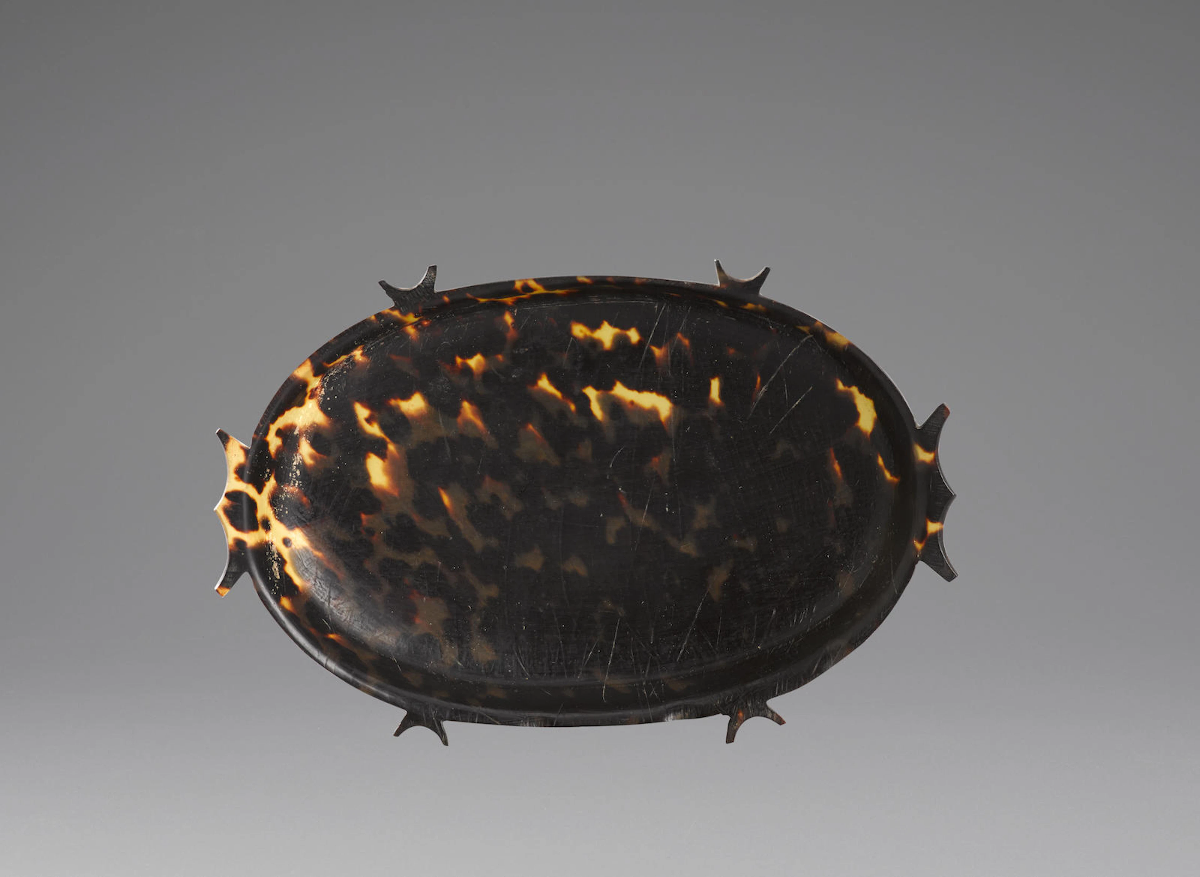 Important Woman's Valuable, Palau (Belau), Caroline Islands length 9in (23cm)