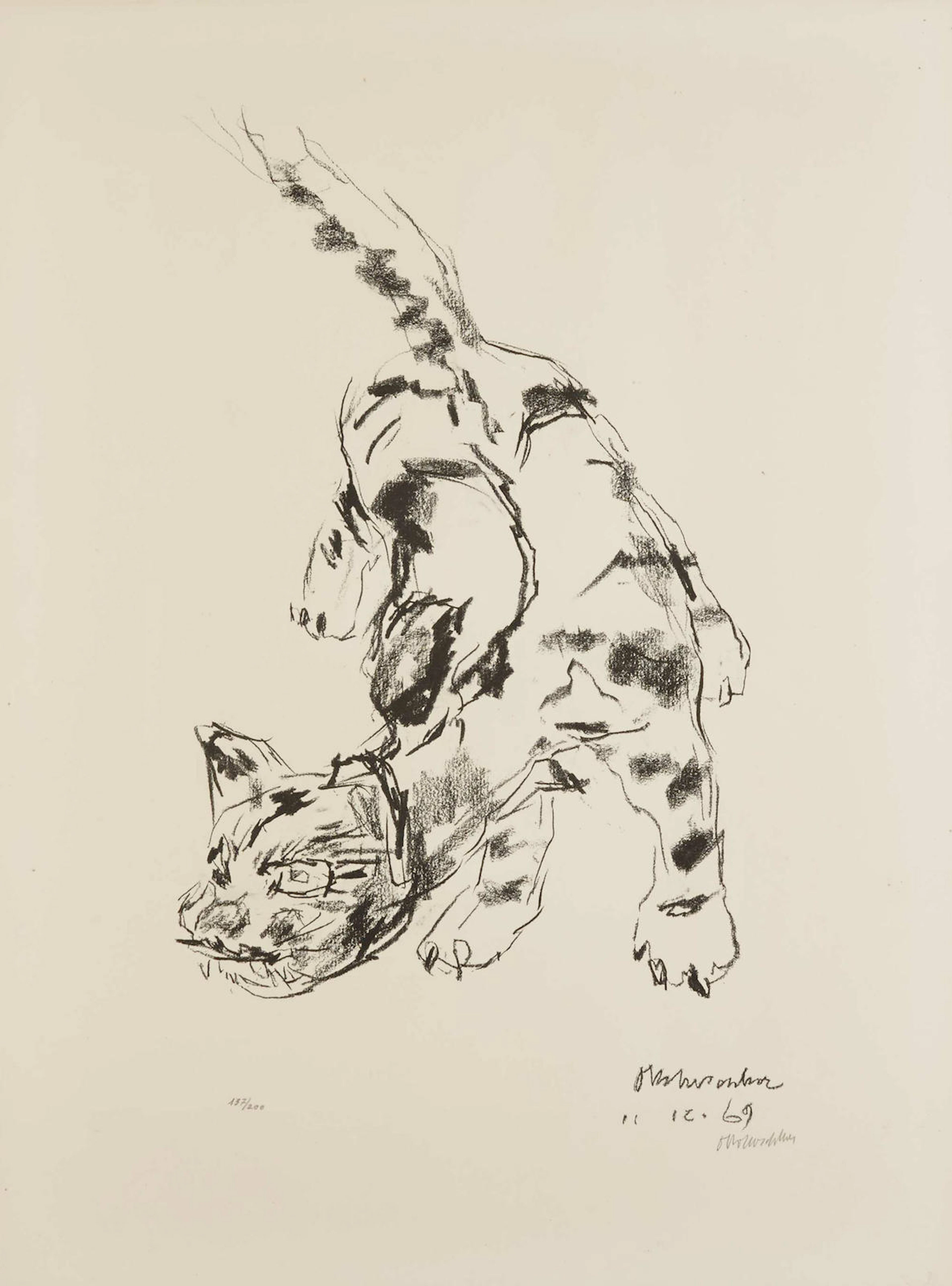 Tigerkatz (W. W464), 1969