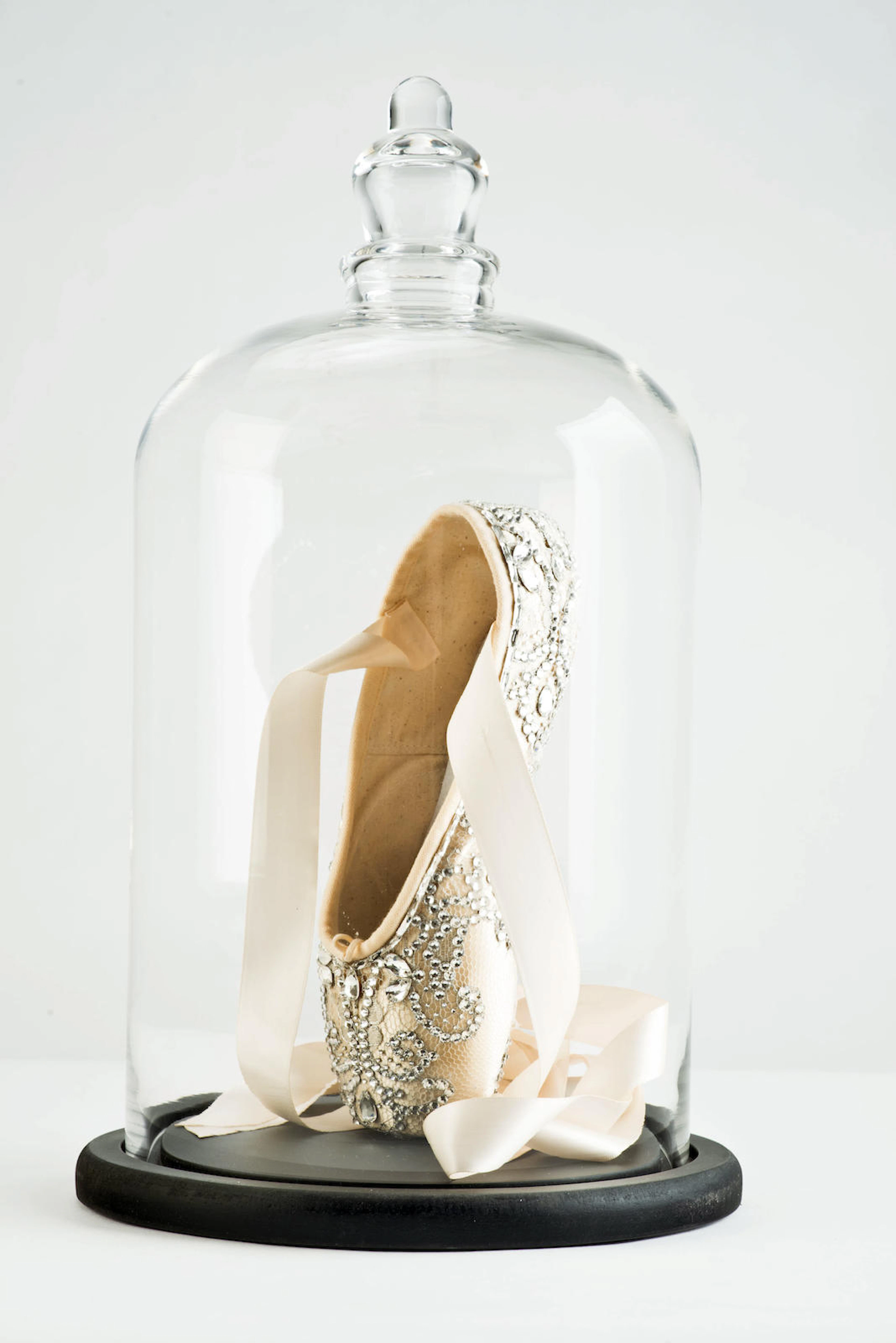 'Create' Pointe shoe by Tiffany Causby for Tutu & Twirl