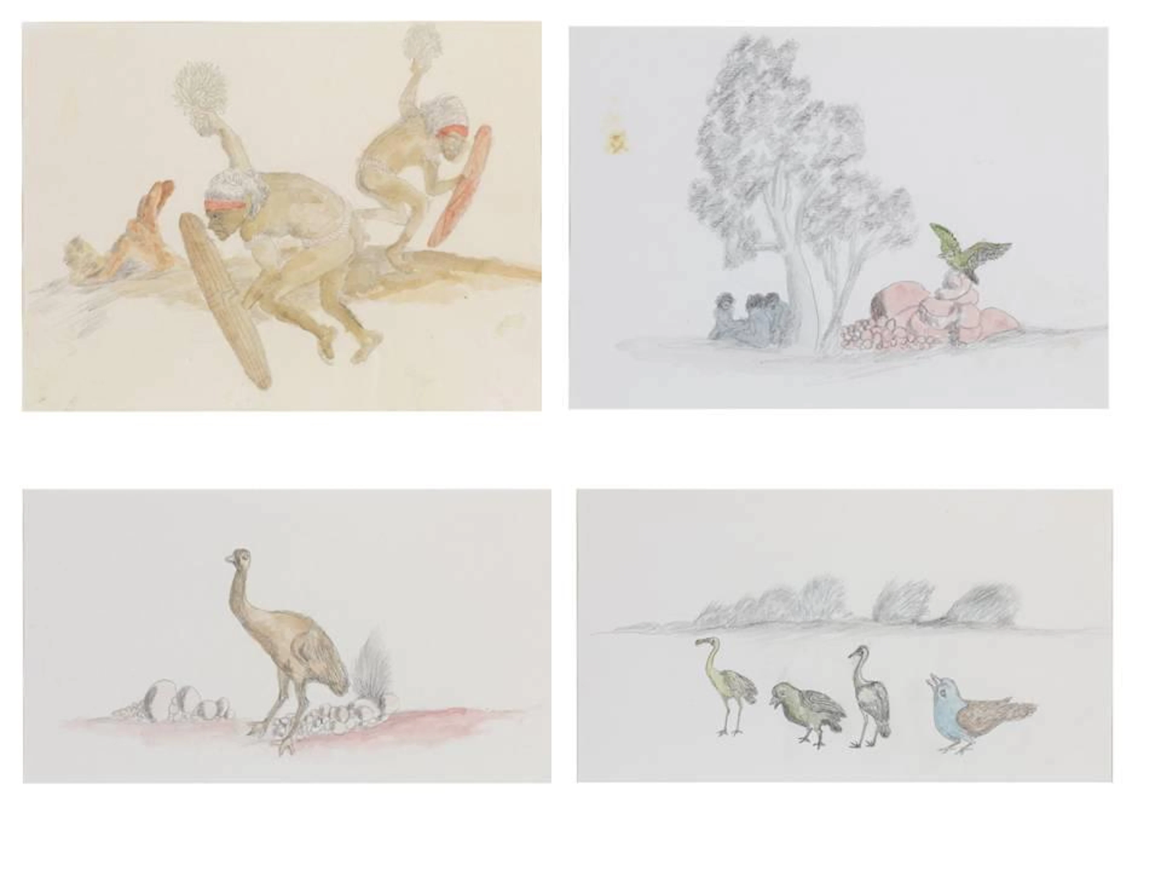 A suite of four drawings: The Emu; Spoonbill, Finch, Brolga and Dove; The Brown Hawk; Ceremonial Dance
