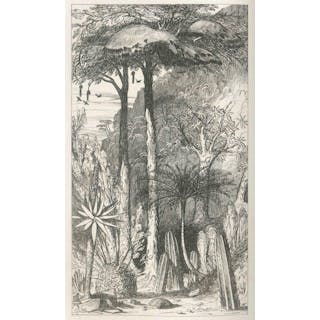 AFRICA - BACKHOUSE (JAMES) A Narrative of a Visit to The Mauritius and South Africa, 1844--MATTHEWS (JOHN) A Voyage to the River Sierra-Leone, on the Coast of Africa, 1788--[BIRD (WILLIAM WILBERFORCE)