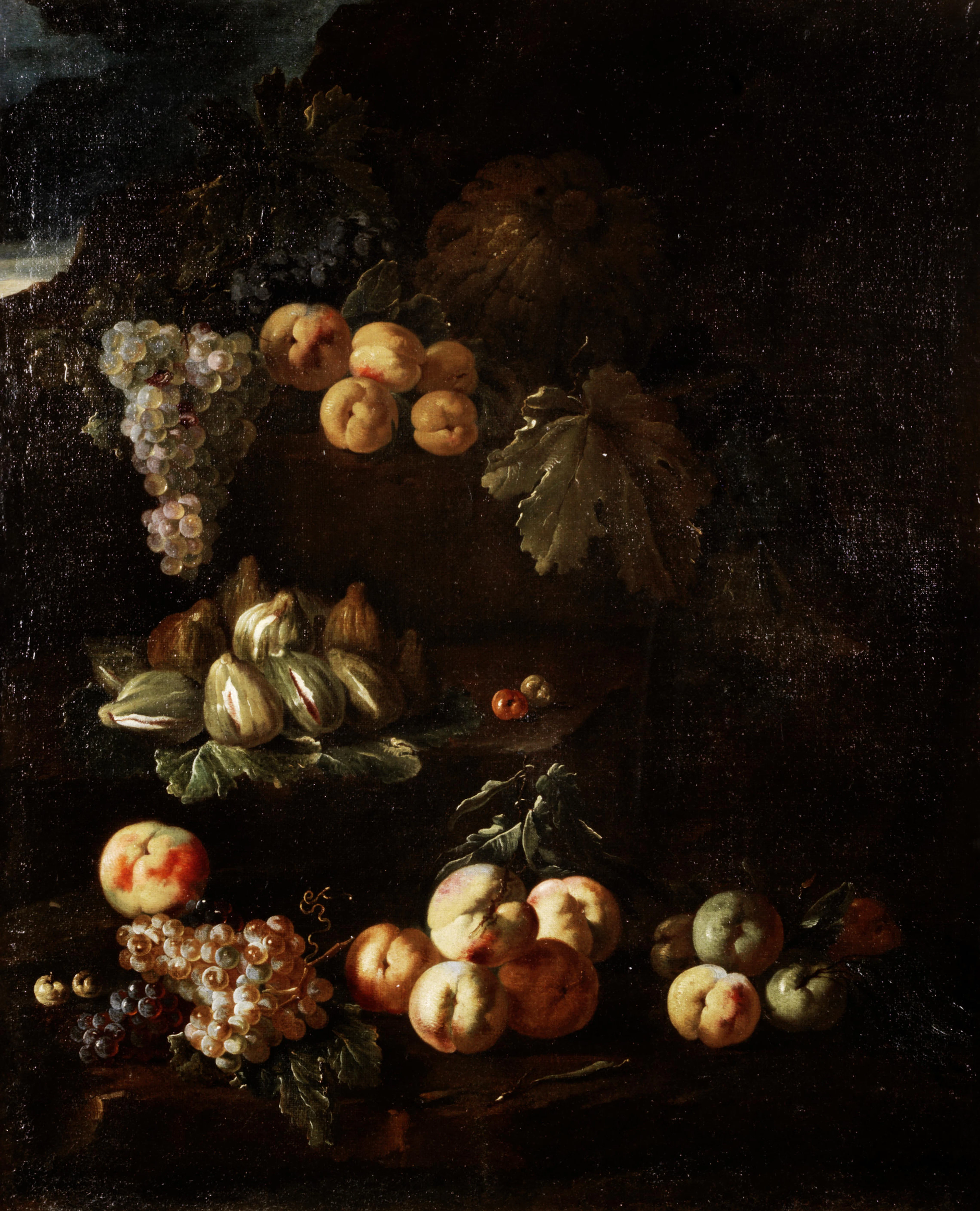 Figs, peaches and grapes before a rocky landscape