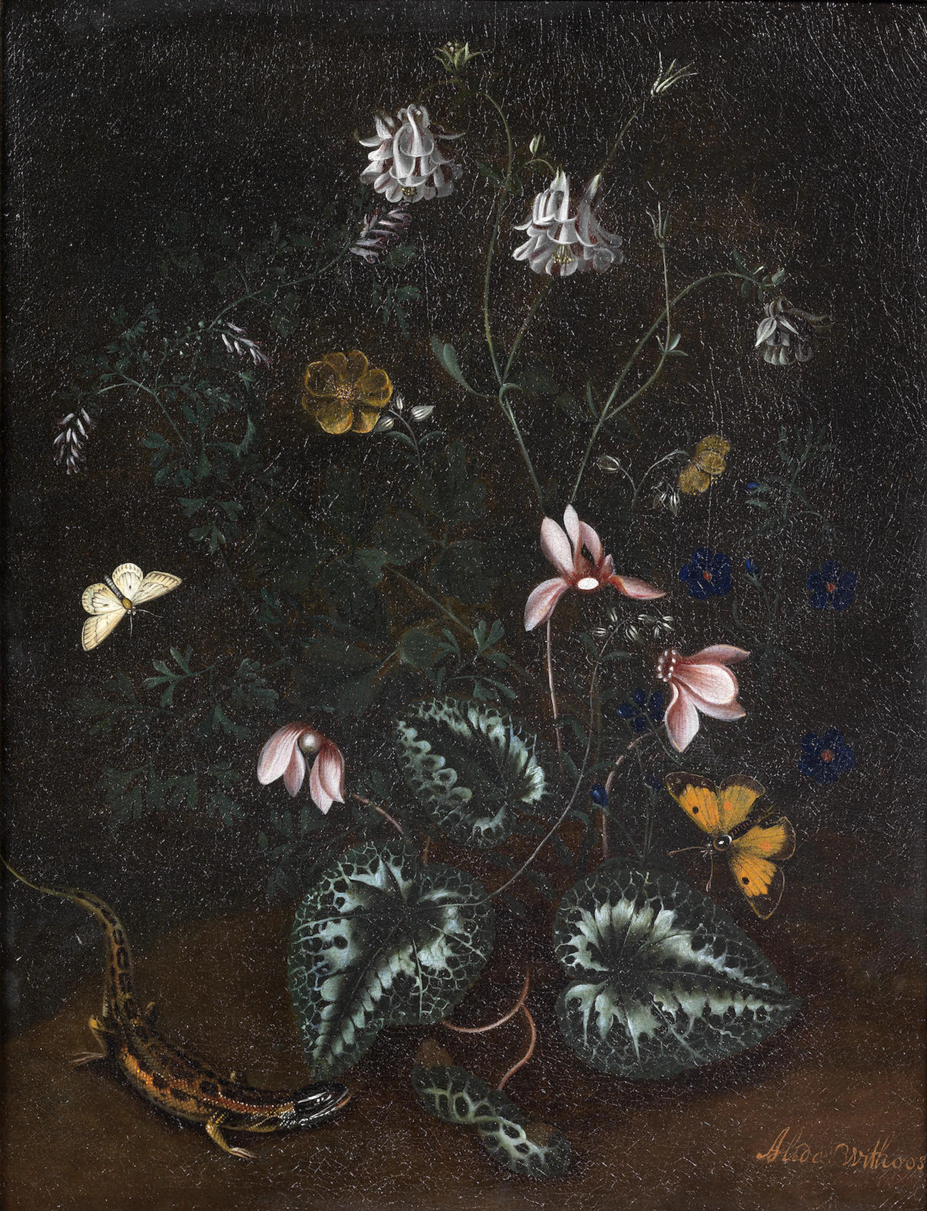 Forest floor still life with butterflies and lizard