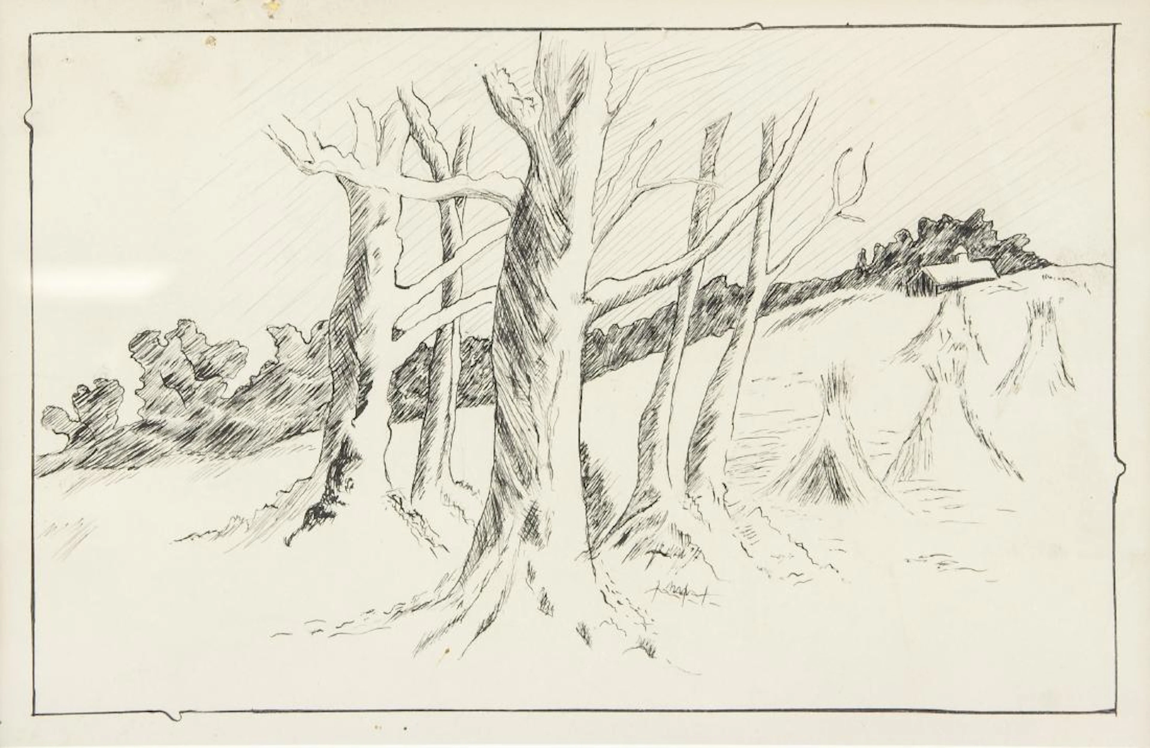 Emily Carr 1871-1945 Canada Ink Landscape ca. 1911