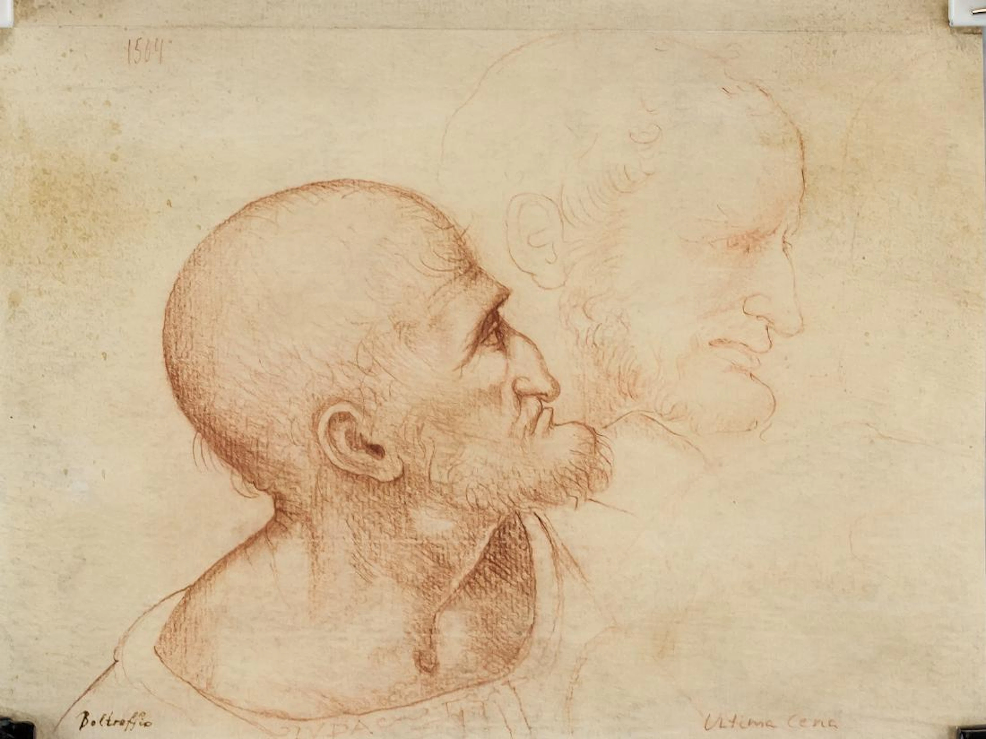 Boltraffio "Ultima Cena" Portrait Sketch of Man