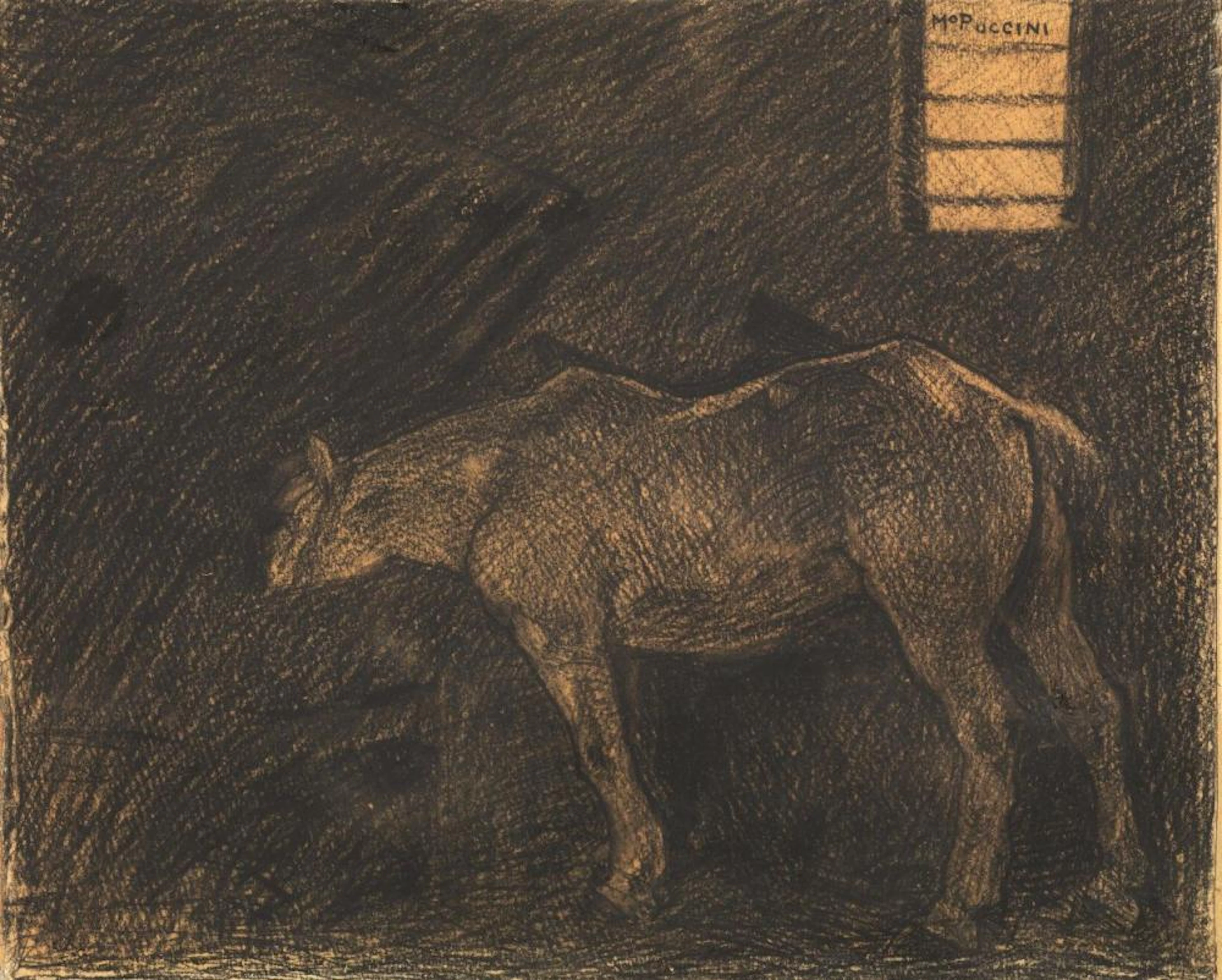 Mario Puccini (Livorno 1869 - Firenze 1920) CAVALLO ALLA...