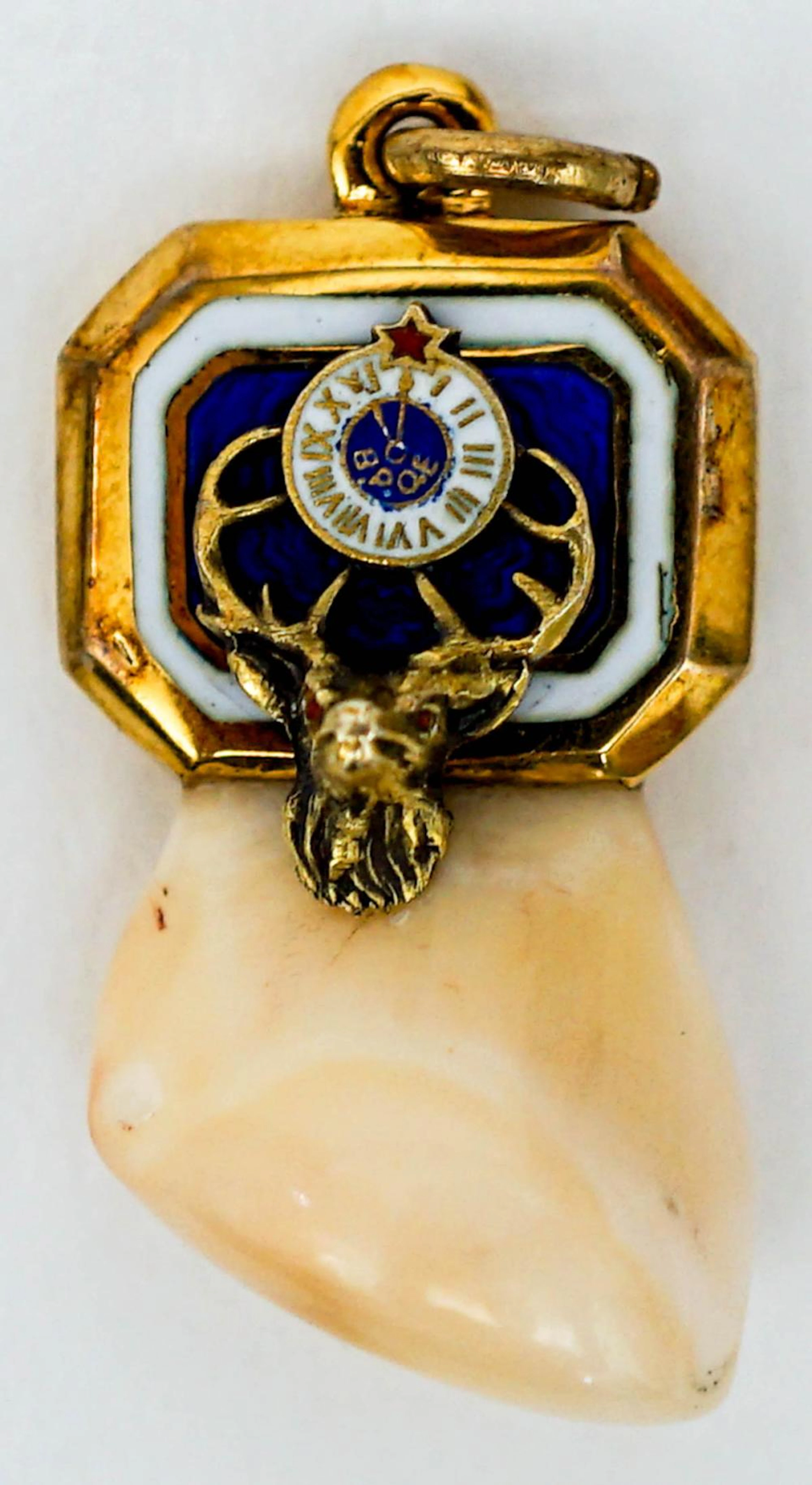 Antique BPOE Elks Tooth Pendant [10k]