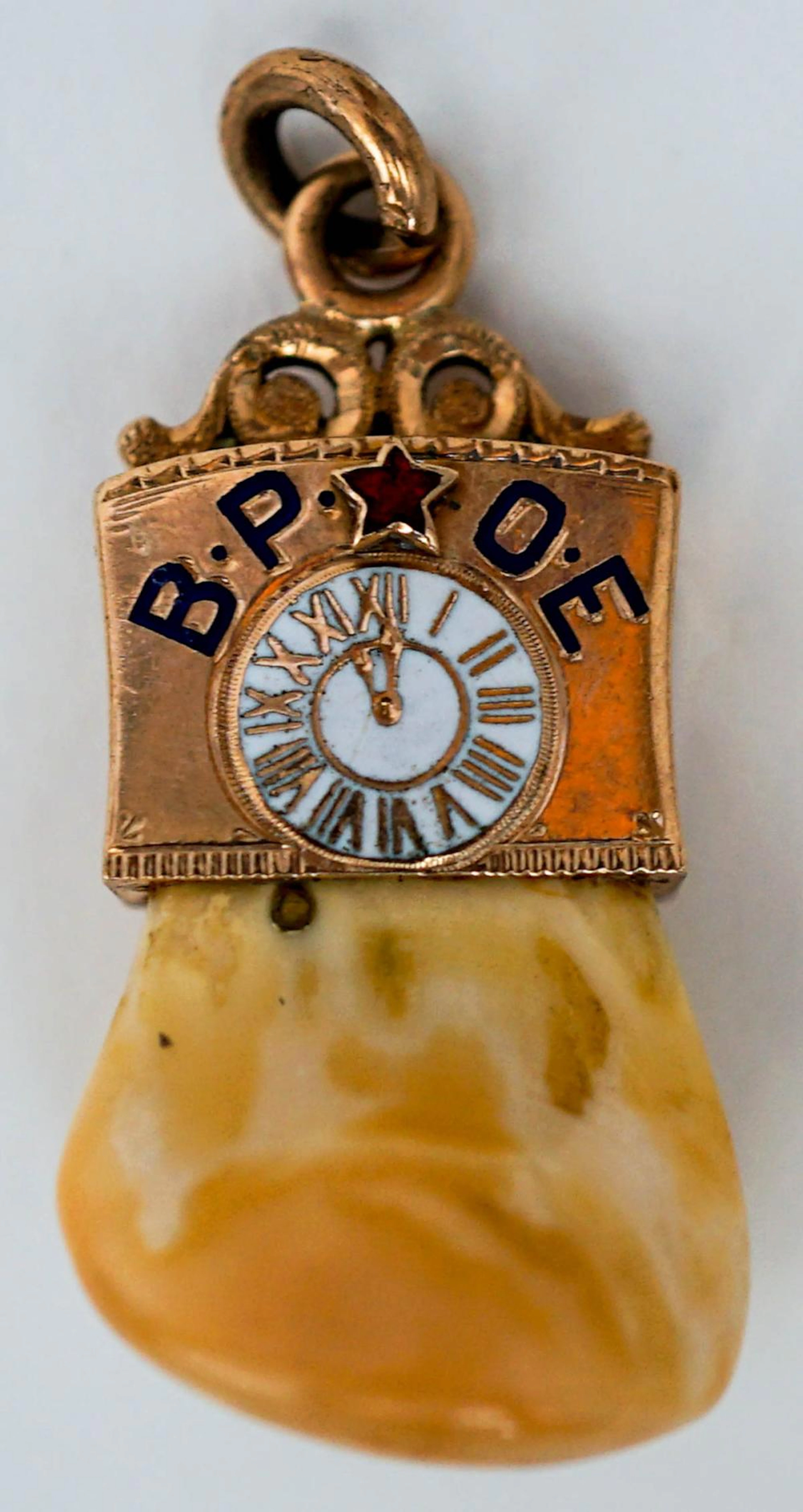 Antique BPOE Double Elks Tooth Pendant [14k]