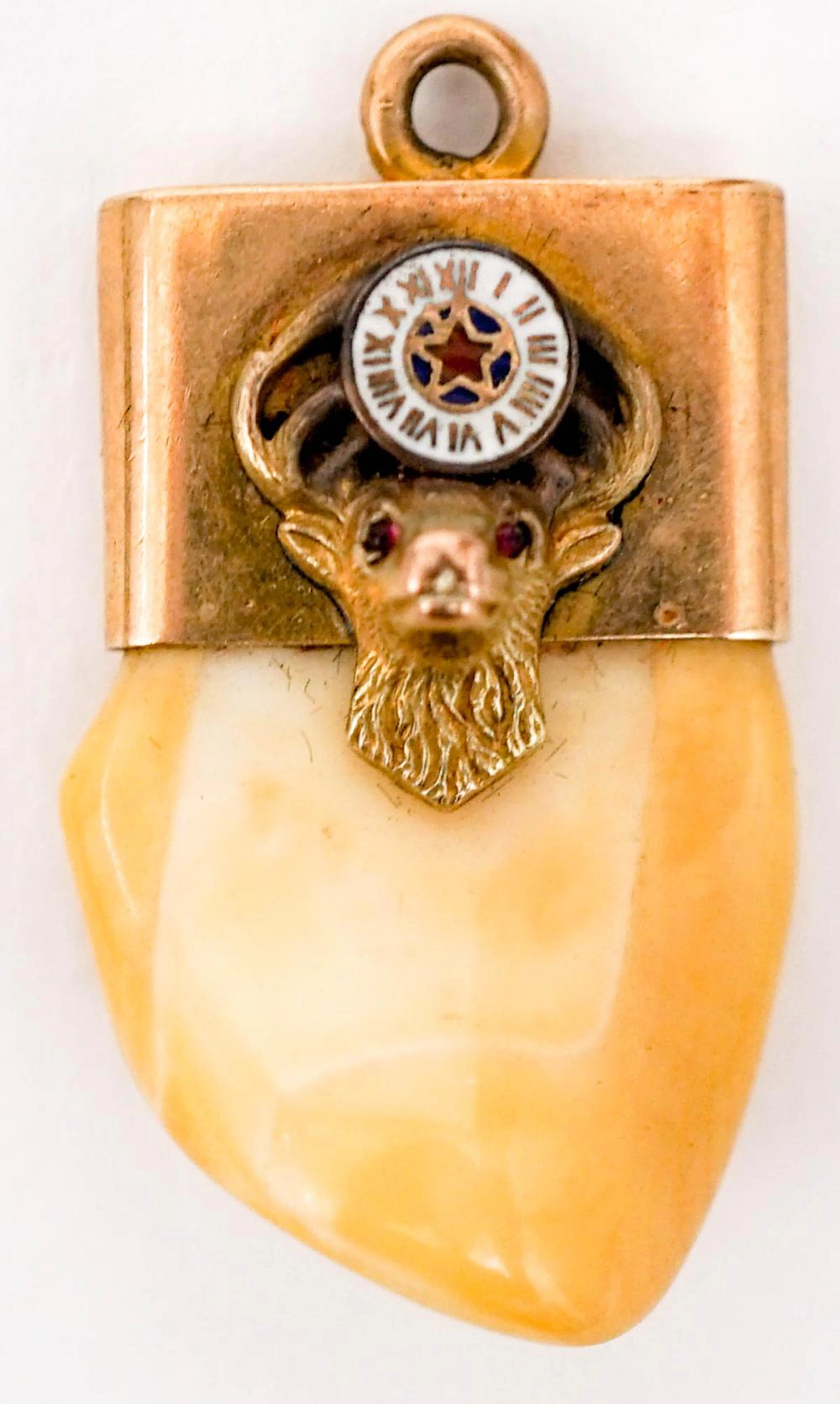 Antique BPOE Elks Tooth Pendant [14k]