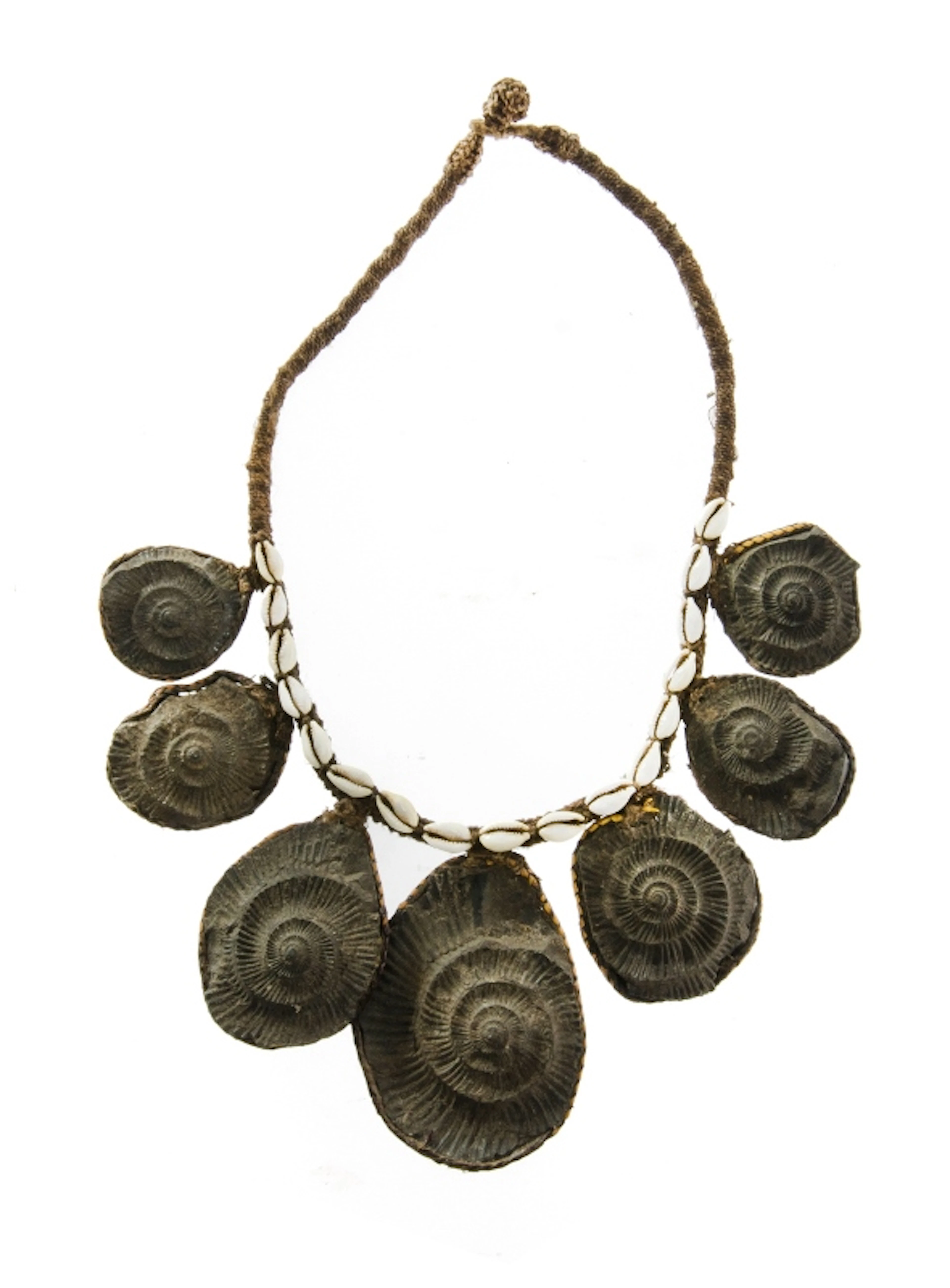 Unusual Papua New Guinea Ammonite Necklace. 7 gra
