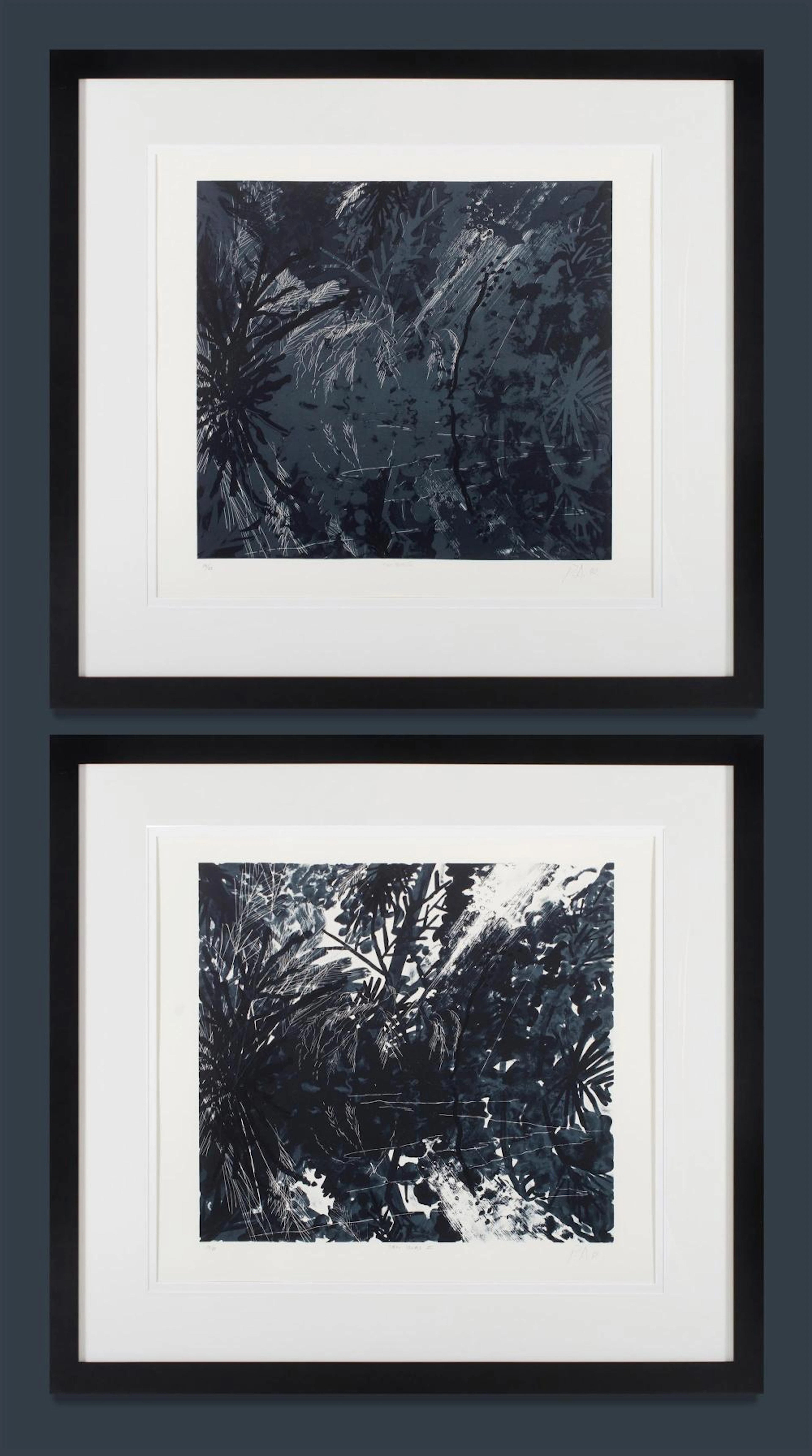 ALEXANDER Peter (USA 1939-2020) (2)