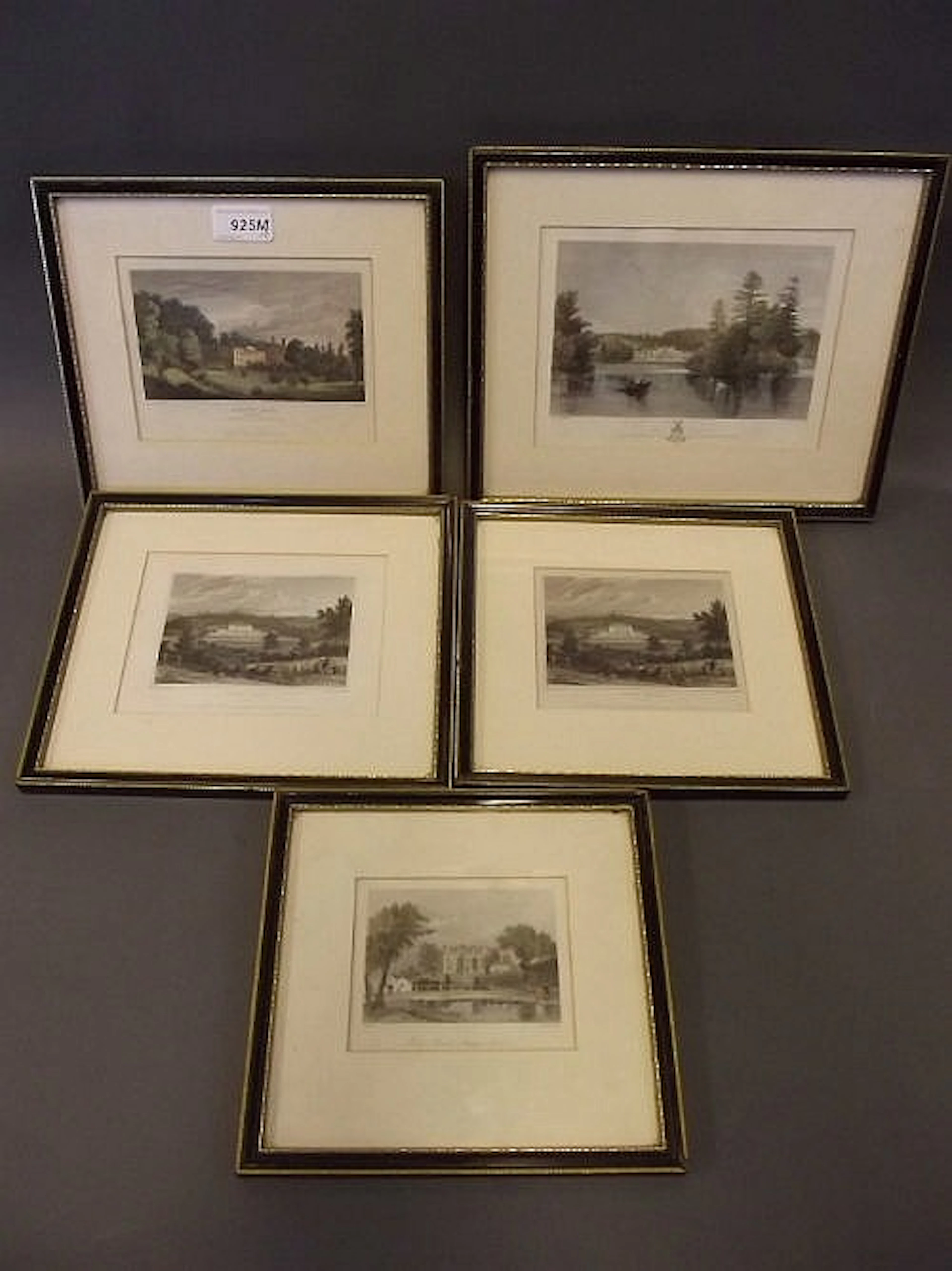 A set of 5 C19th hand coloured engravings of local