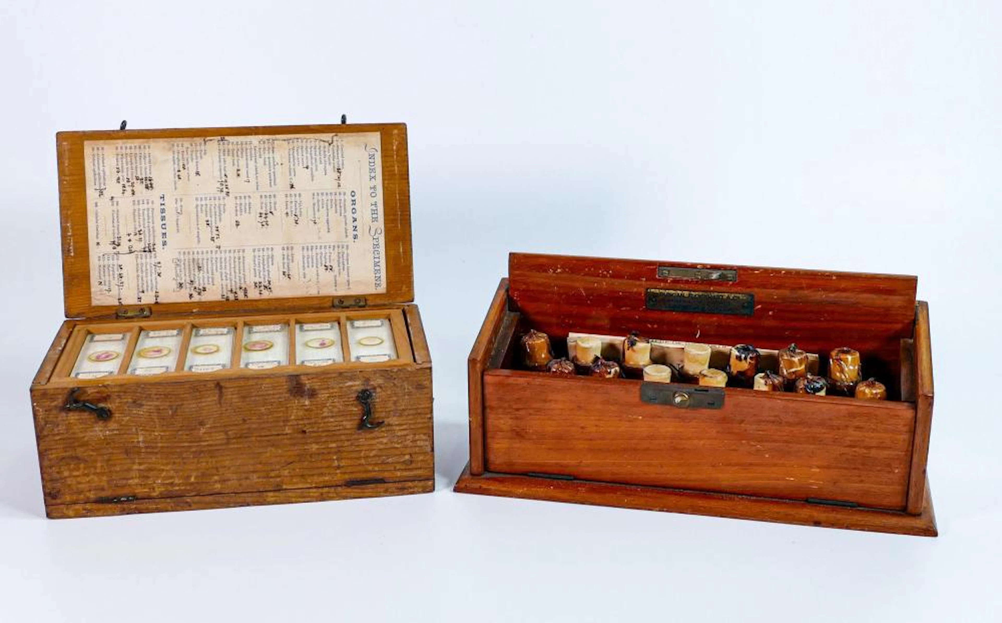 Cased antique Microscope glass Organ slides together with Duncan Cased Prot
