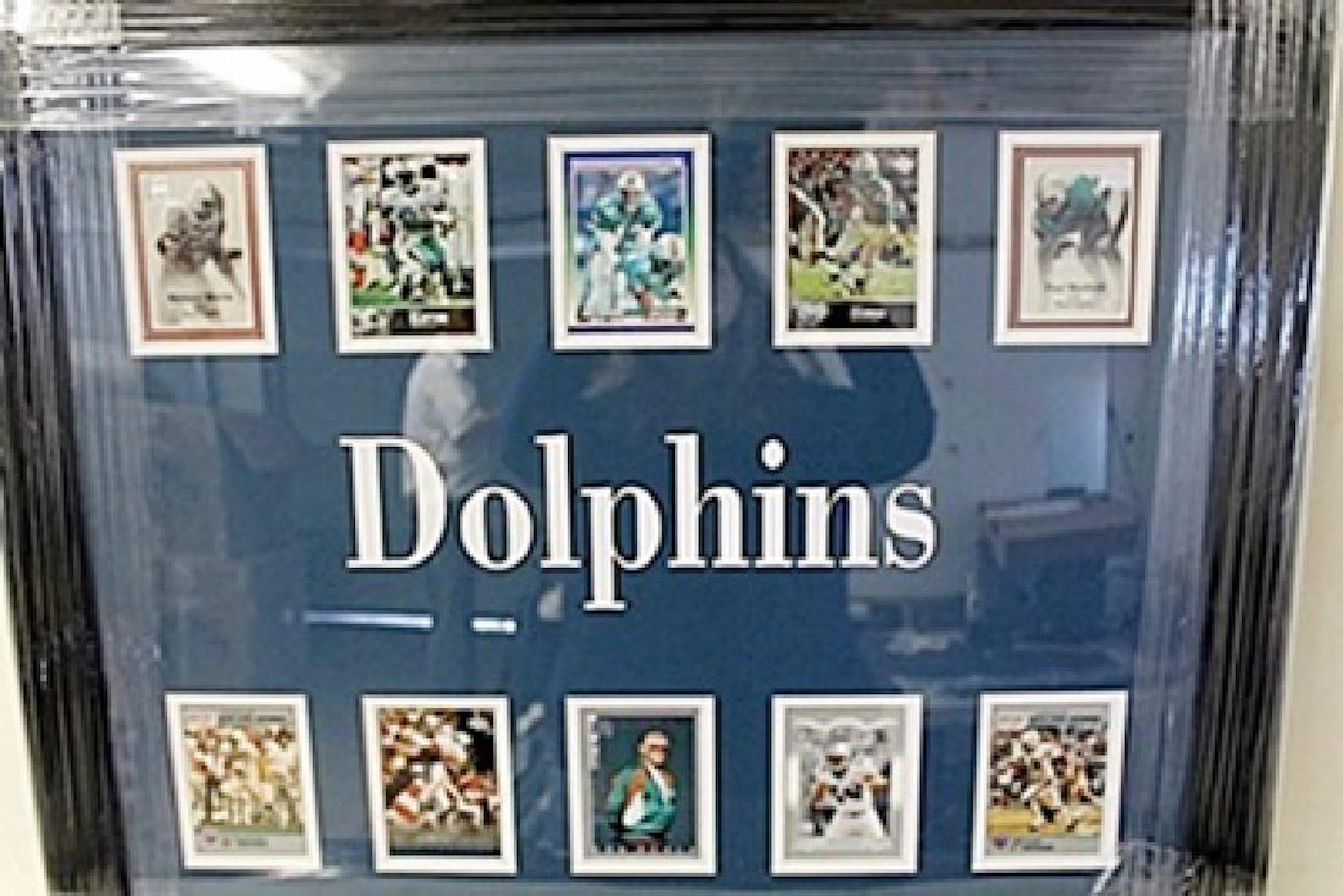 Dolphins Framed Collectible