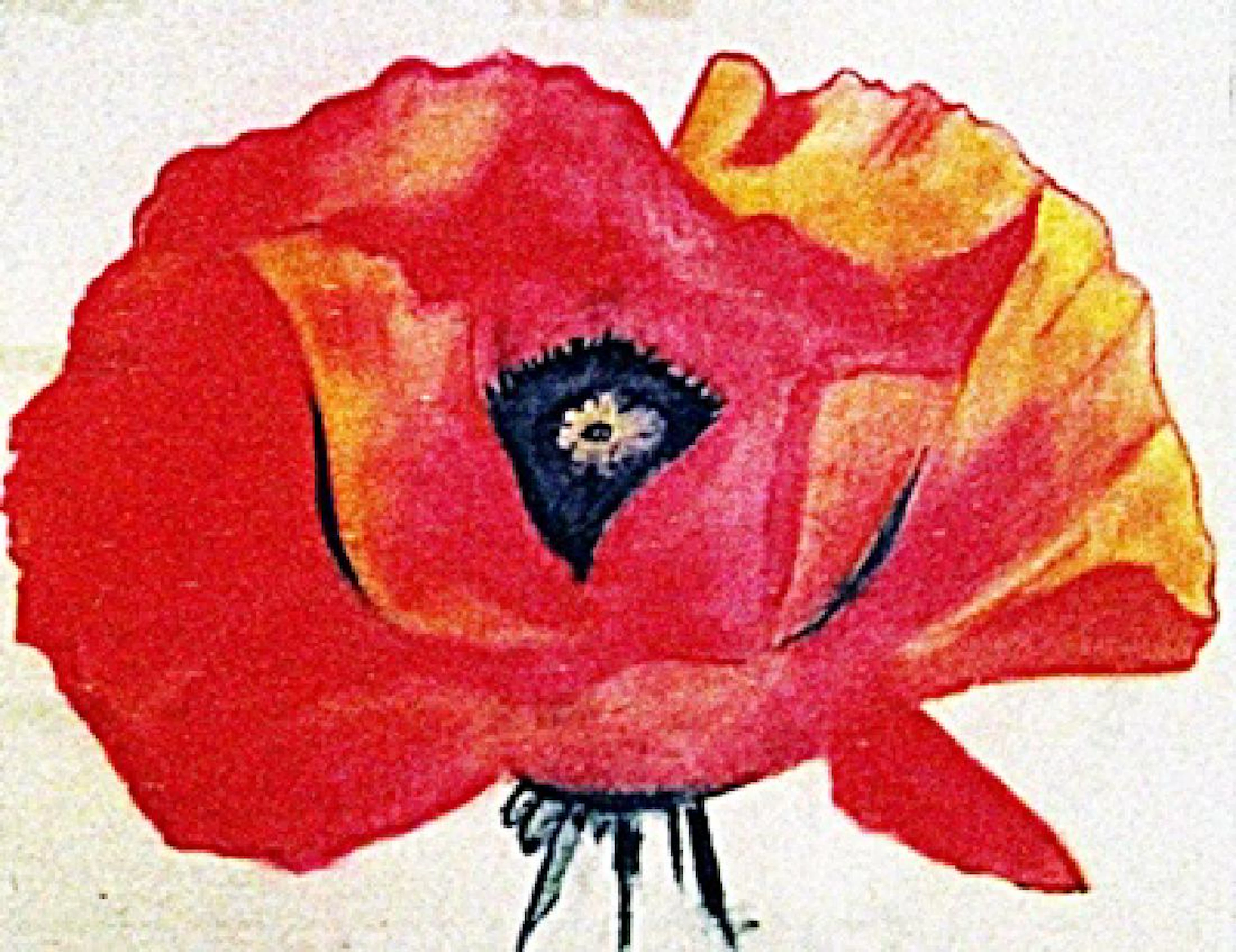 Georgia Okeeffe - The Flower