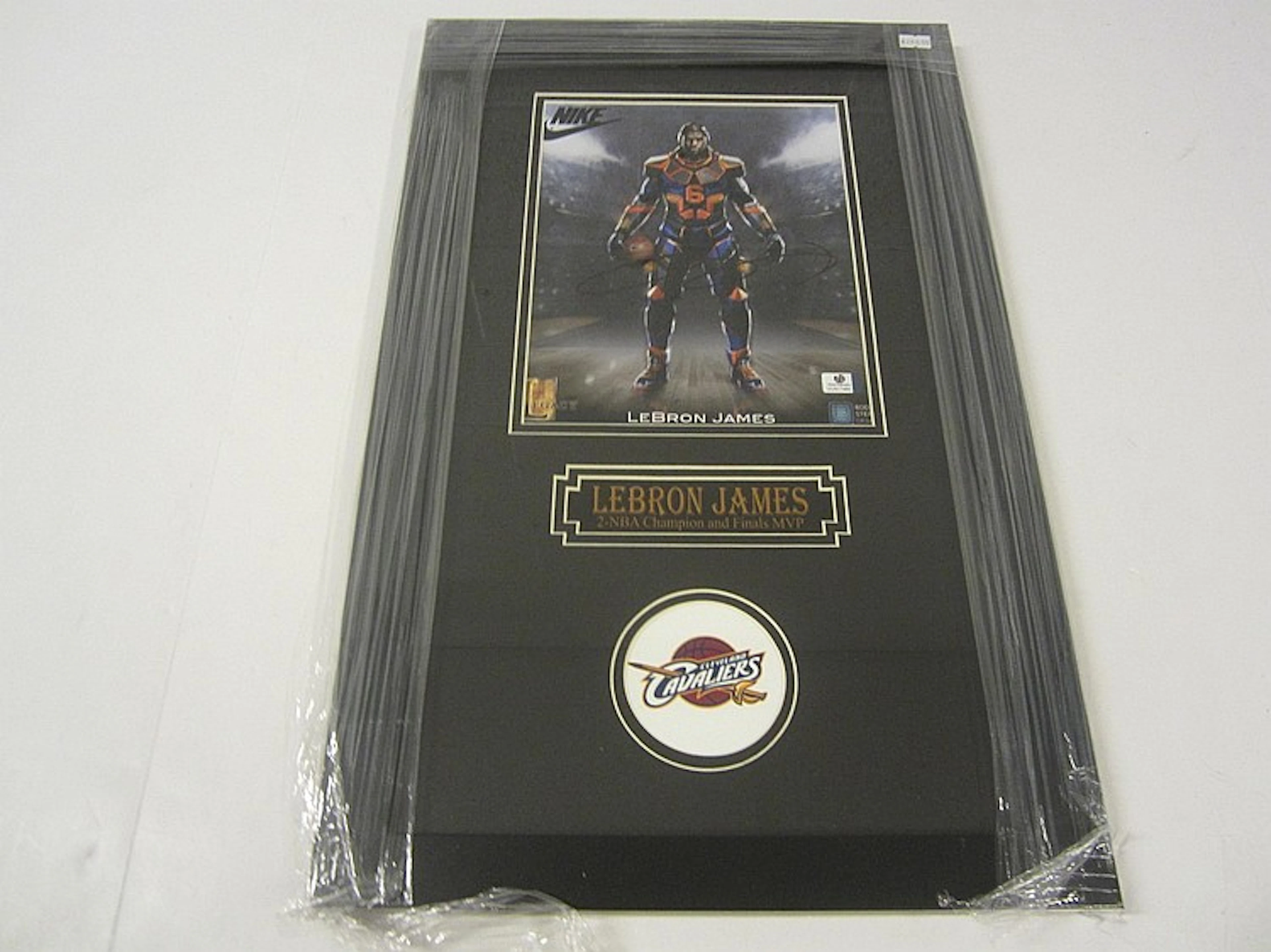 Lebron James Cleveland Cavaliers Hand Signed Autographed...