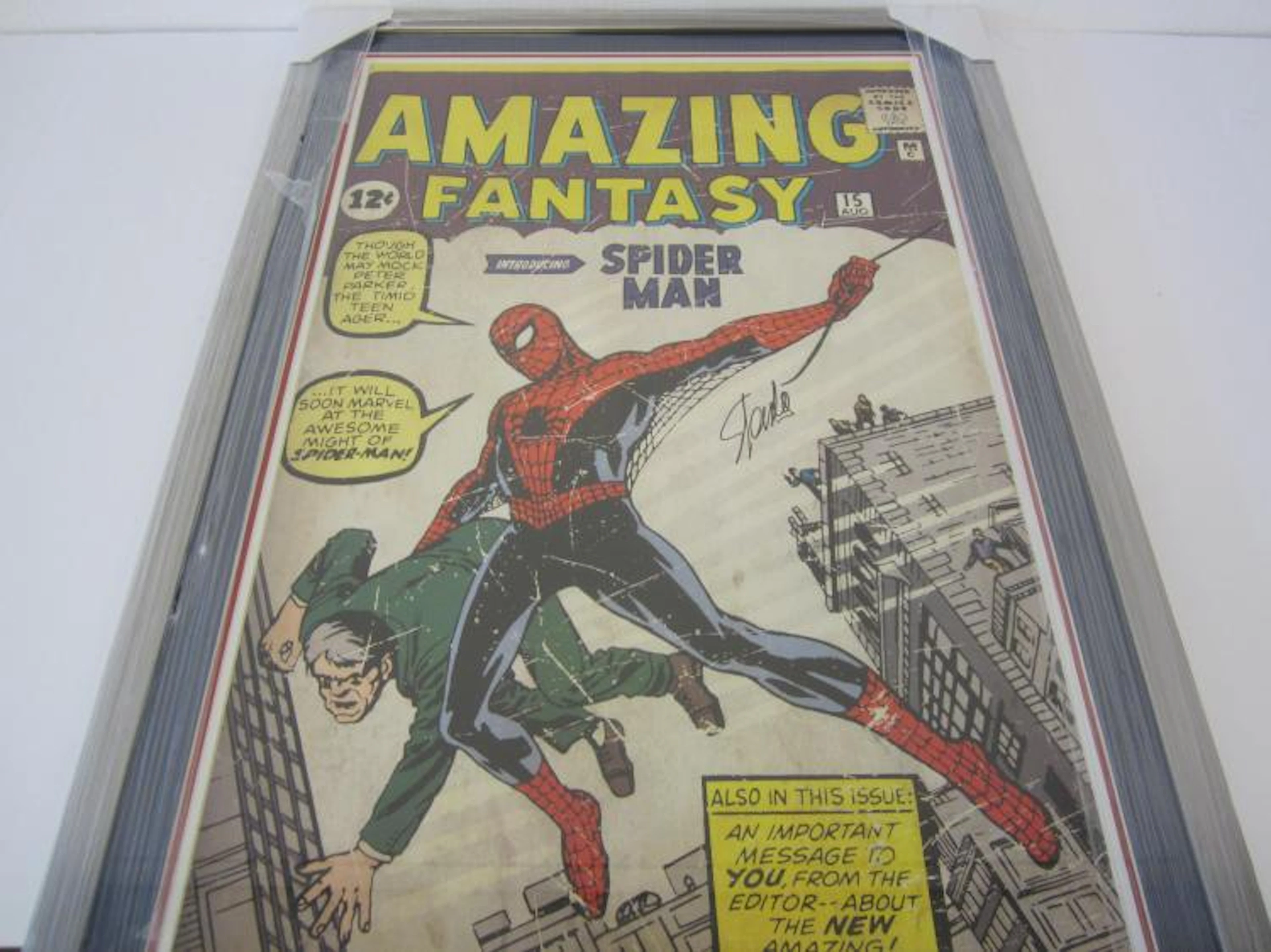 Stan Lee Spider-Man signed autographed framed comic poster PAAS Coa