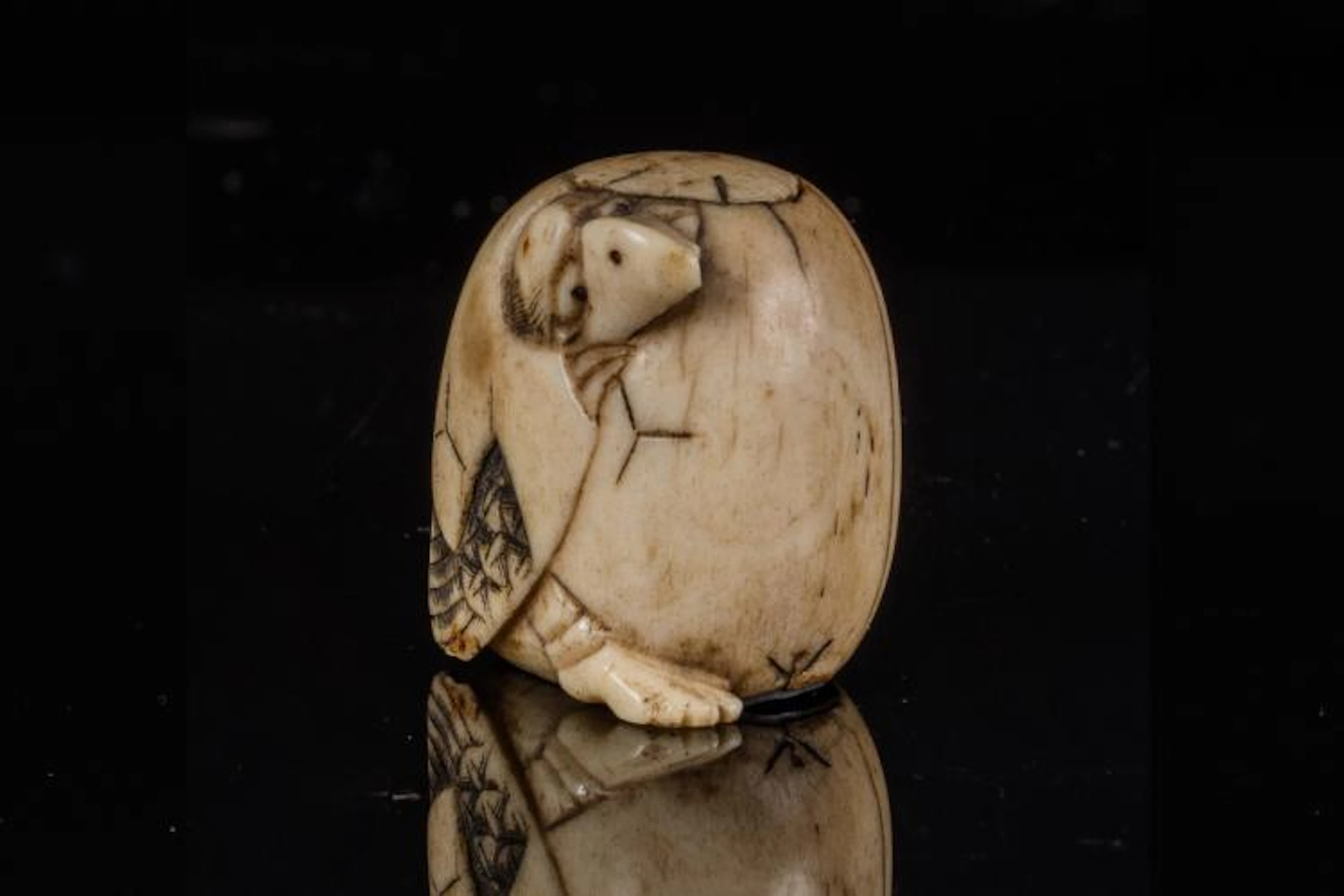 Arte Giapponese An ivory netzuke of an animal emerging from the egg Japan