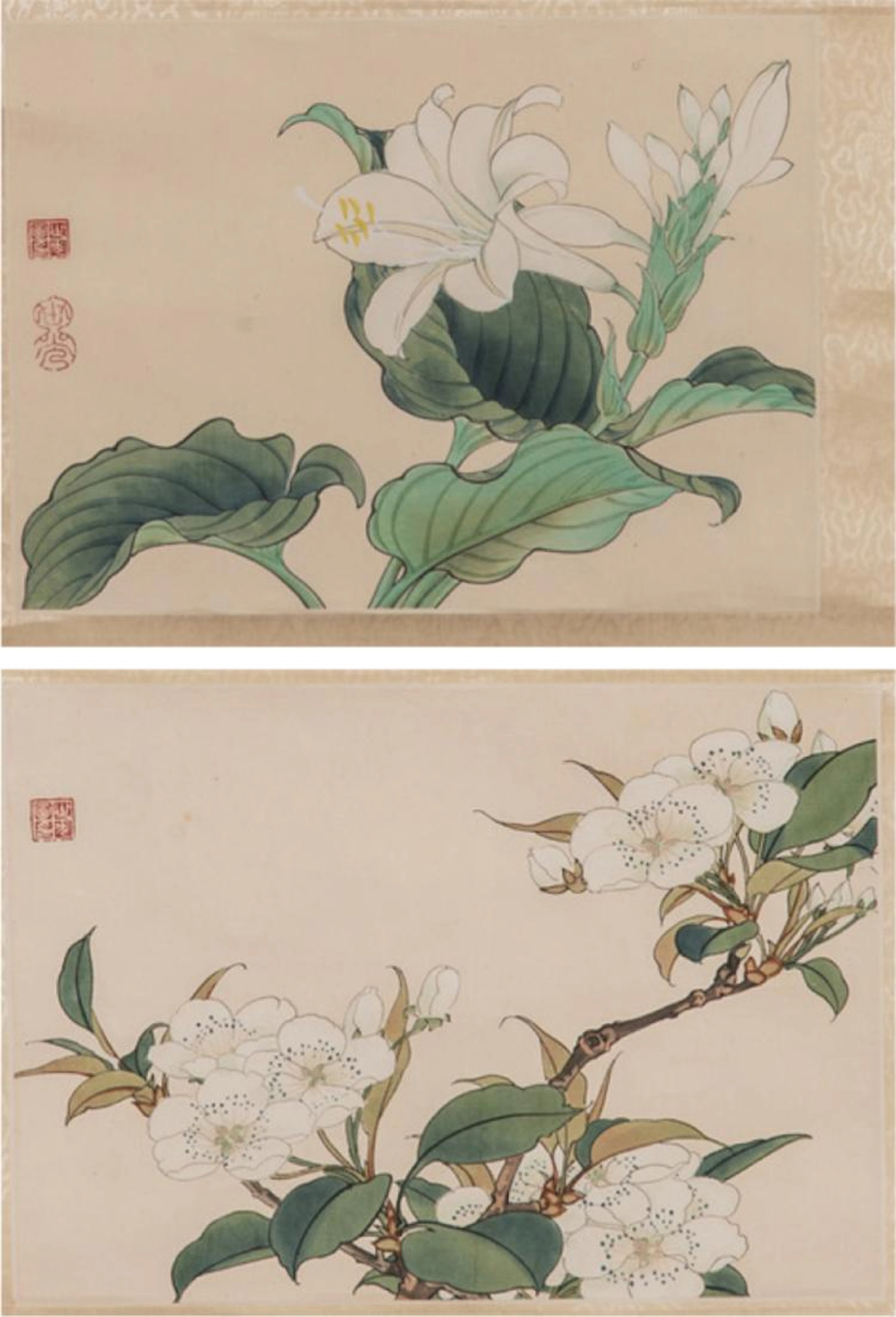 Arte Cinese A pair of ink and colors paintings on paper depicting flowers China