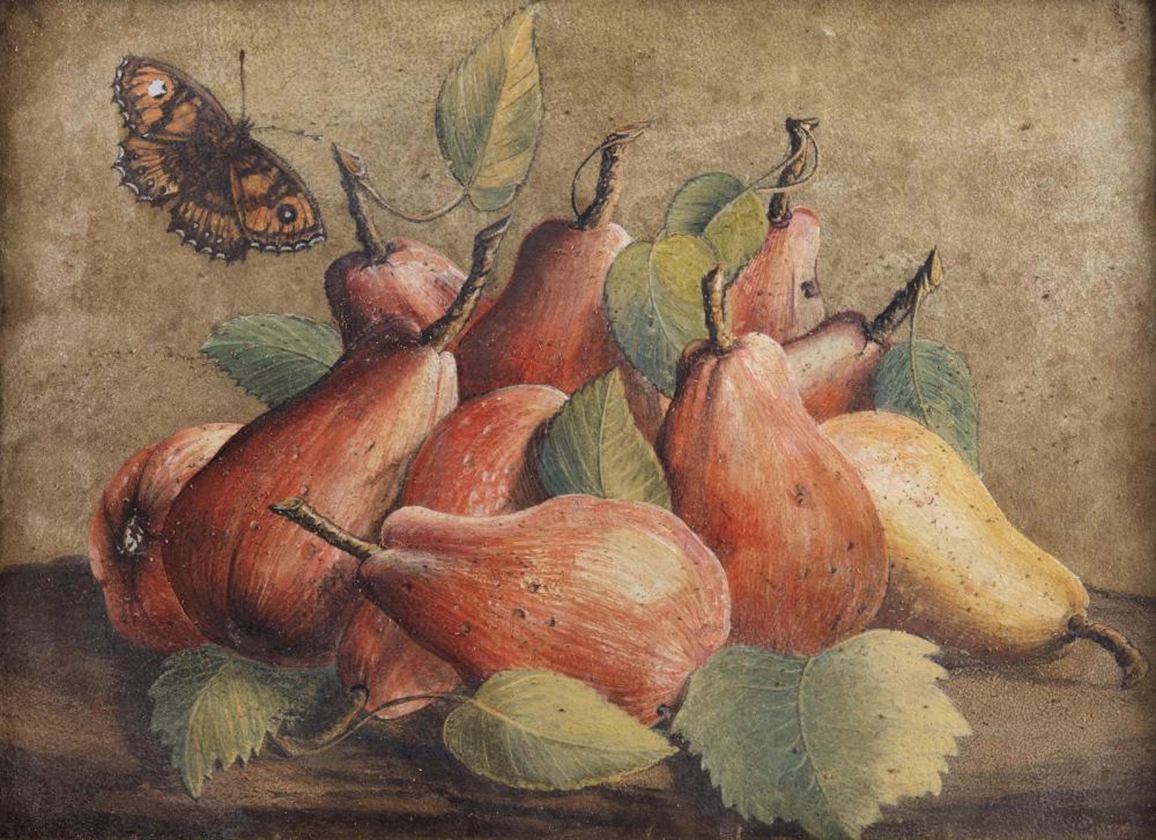 GARZONI GIOVANNA (1600 - 1670) Still life with pears and butterfly.