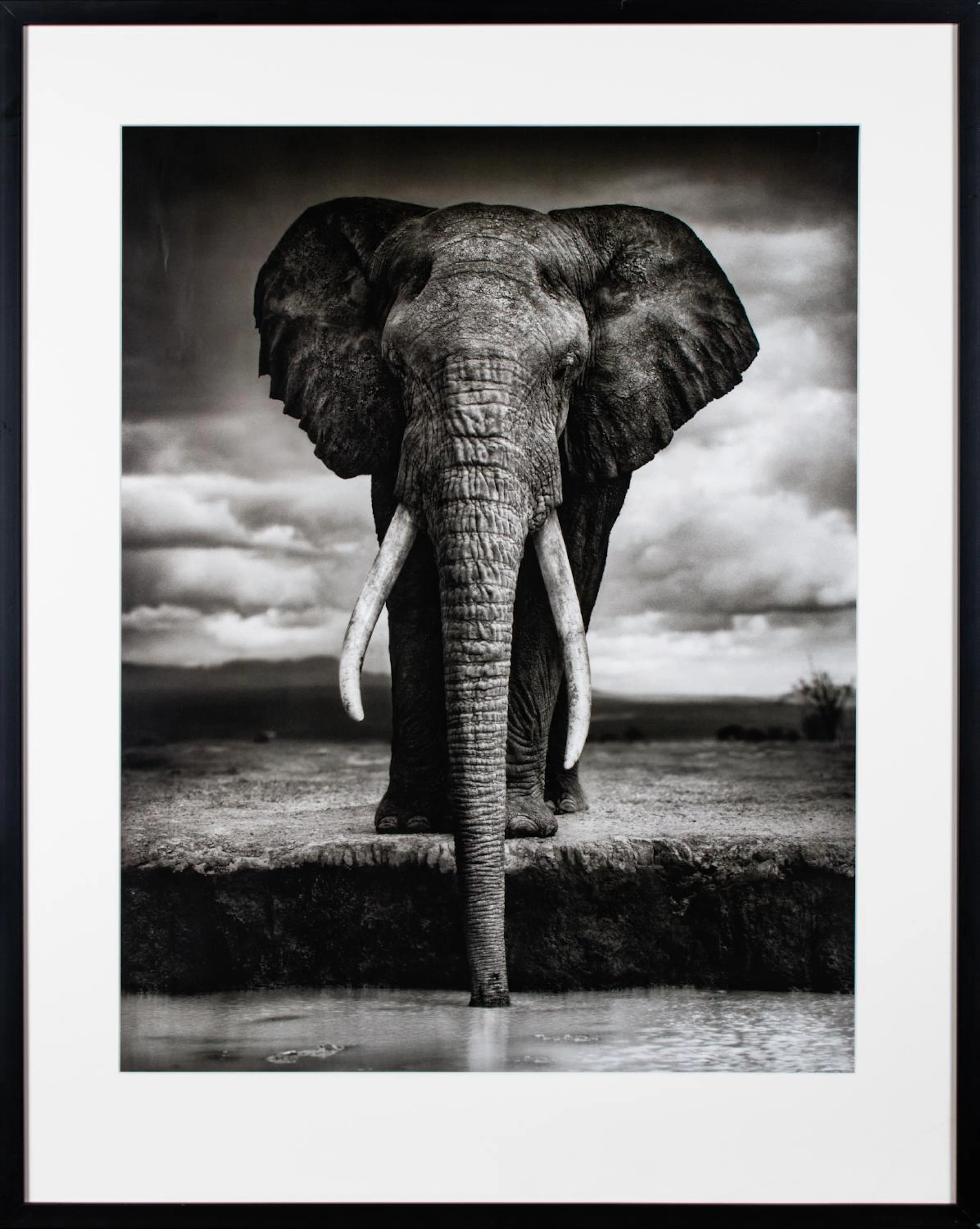 Nick Brandt Offsettryck