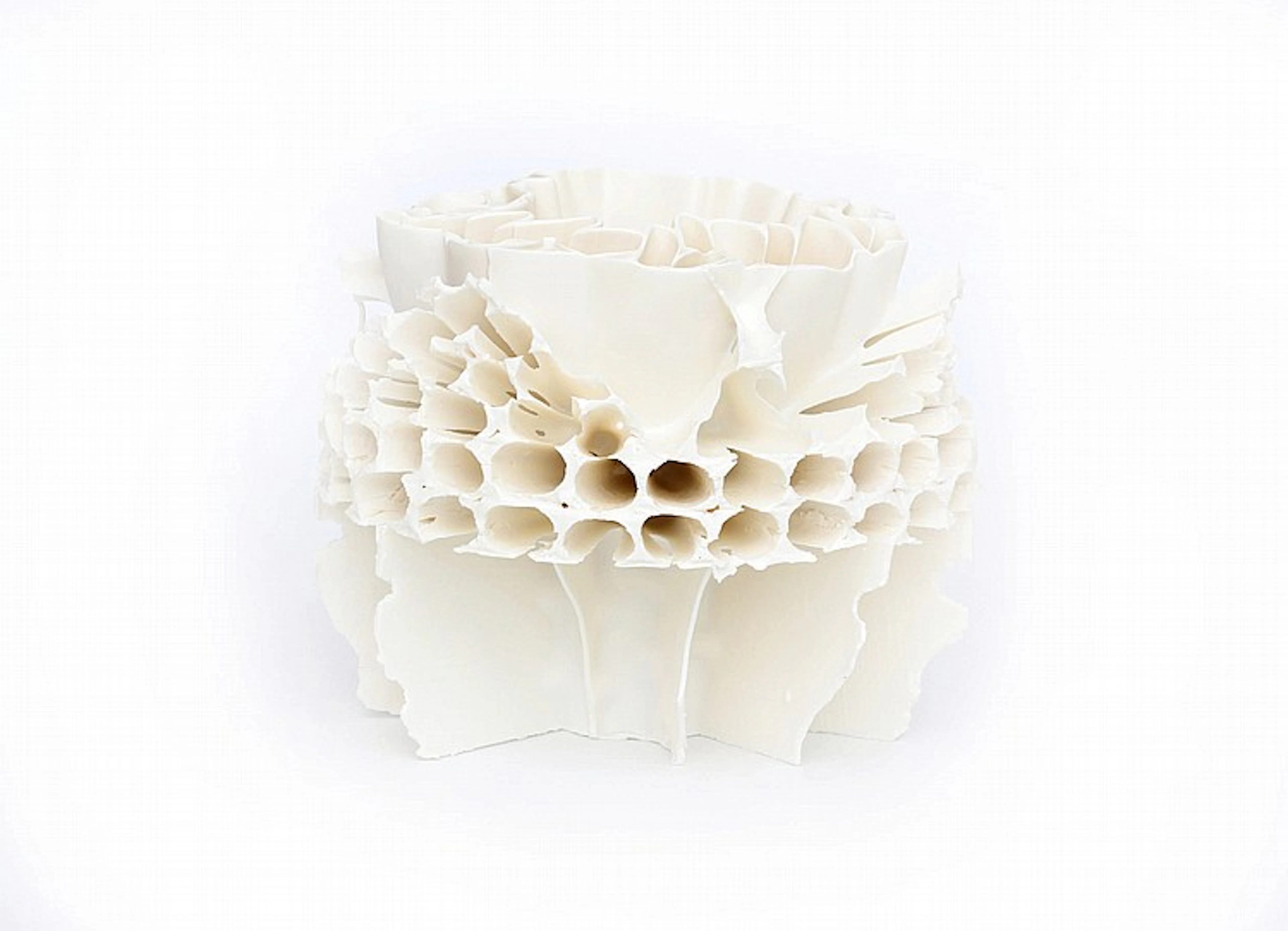 Jozsef Simon Zsolt A white porcelain sculpture from the "Flowers" series