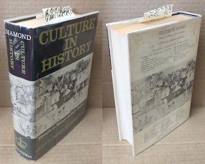 culture in history essays in honor of paul radin