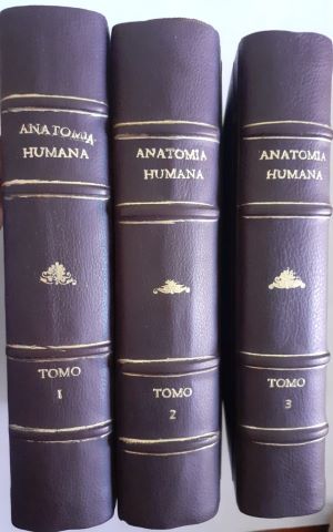 Tratado De Anatomía Humana Tomos I, II Y III L. Testut Y A. Latarjet ...