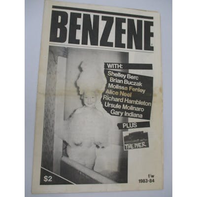 Benzene Magazine #8 Summer Fall / Winter 1983 / 84: Bealy, Allan ed. Art Journal