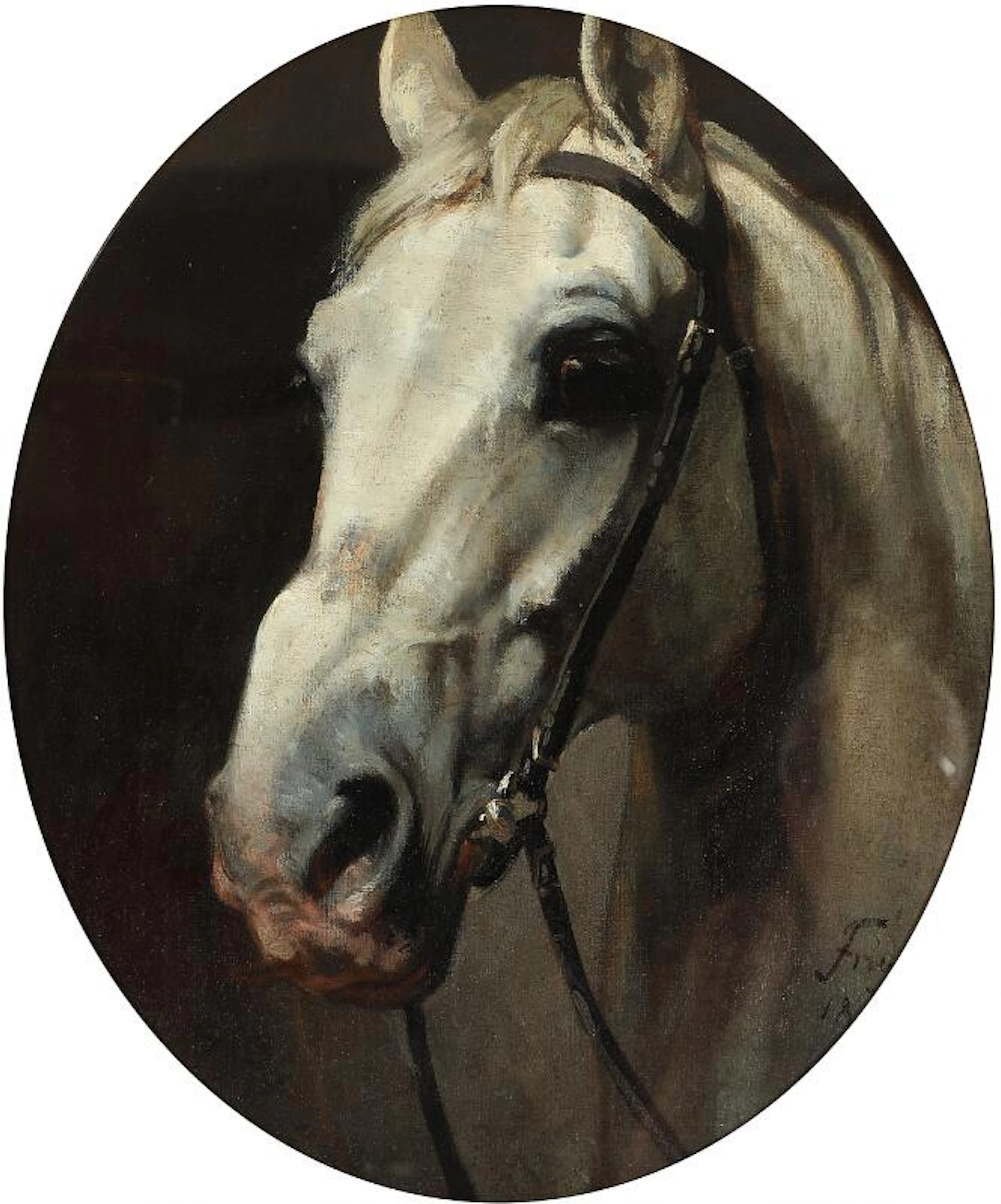 Gustav Adolph Friedrich