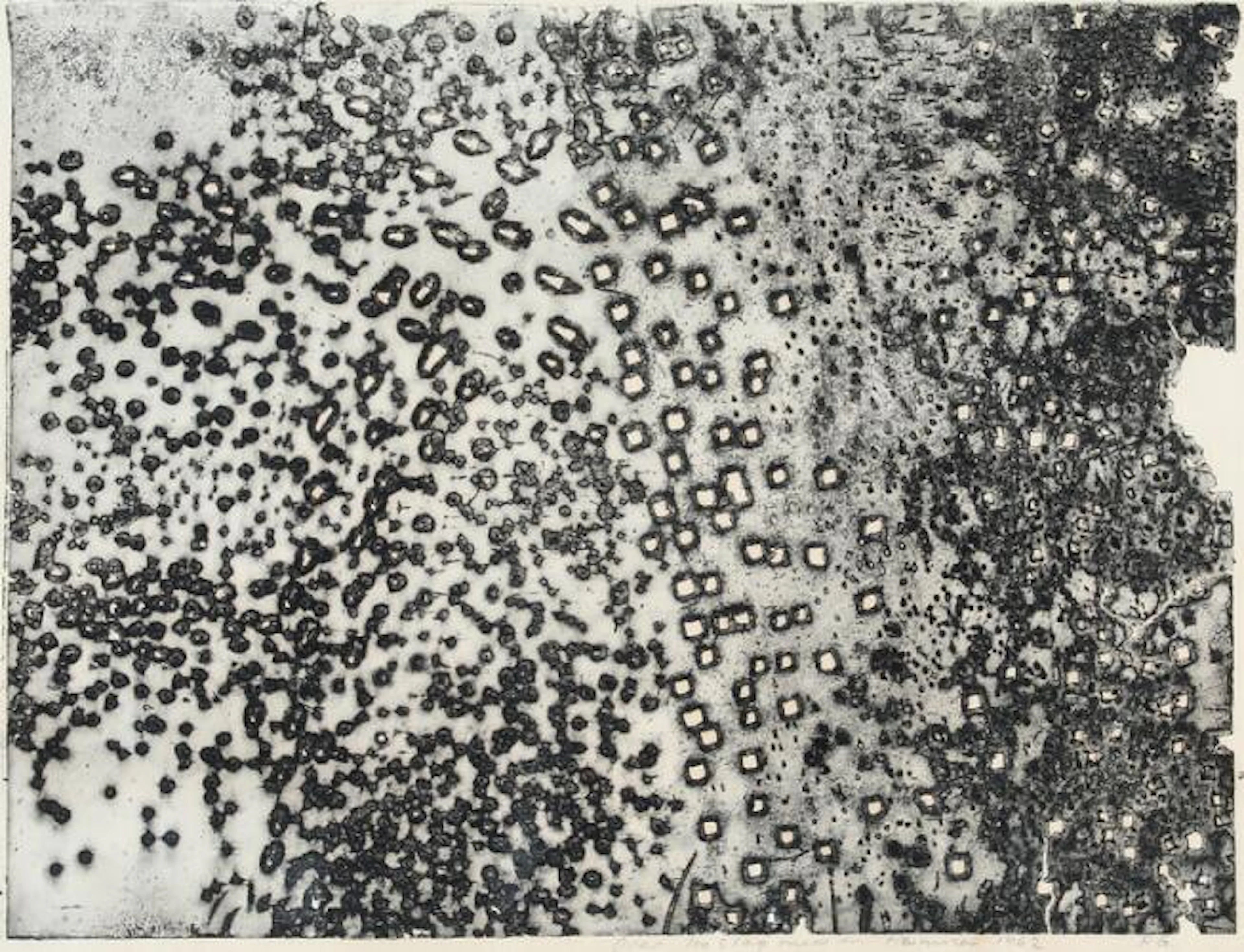 Poul Gernes