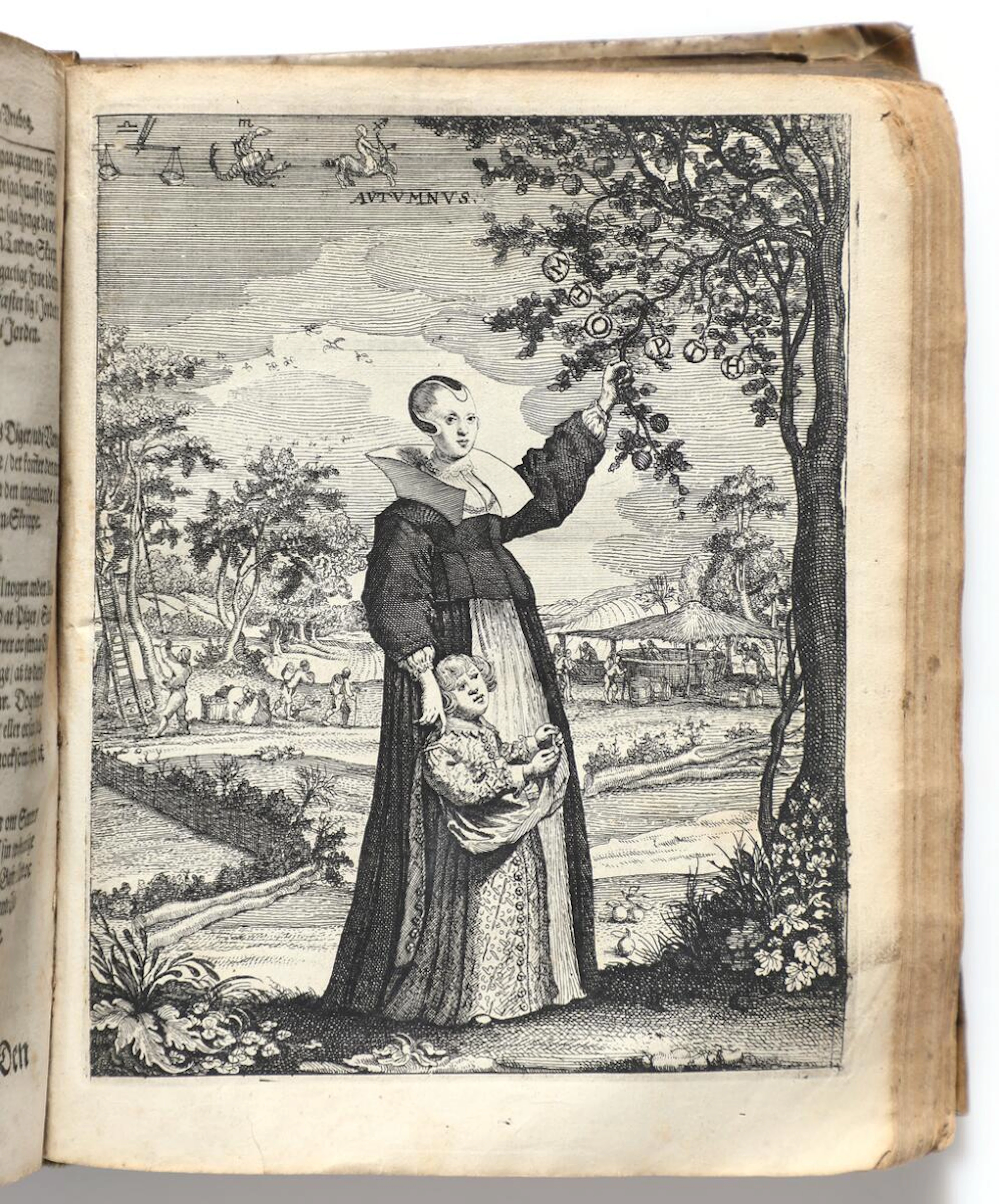 Simon Paulli