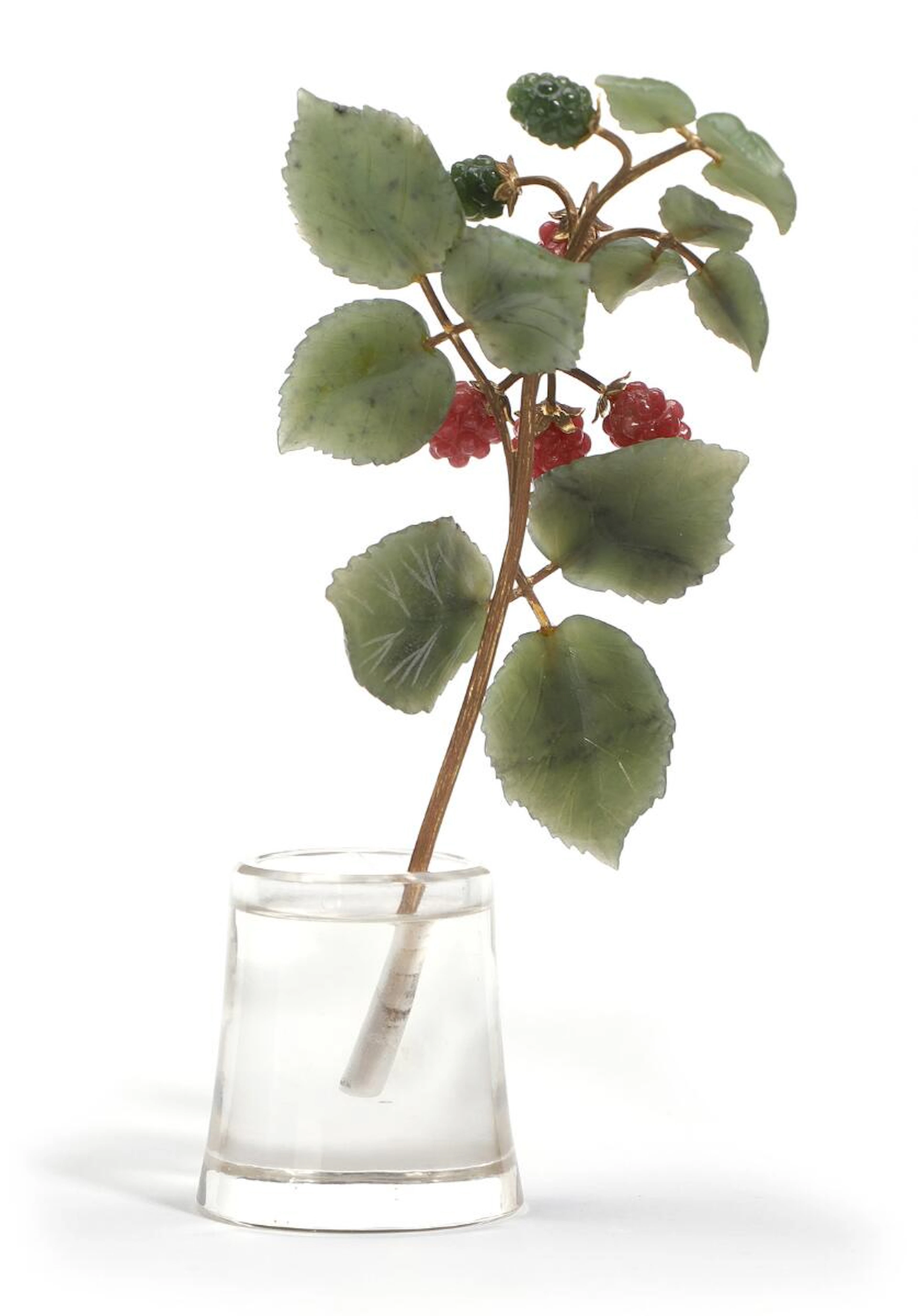 A raspberry branch