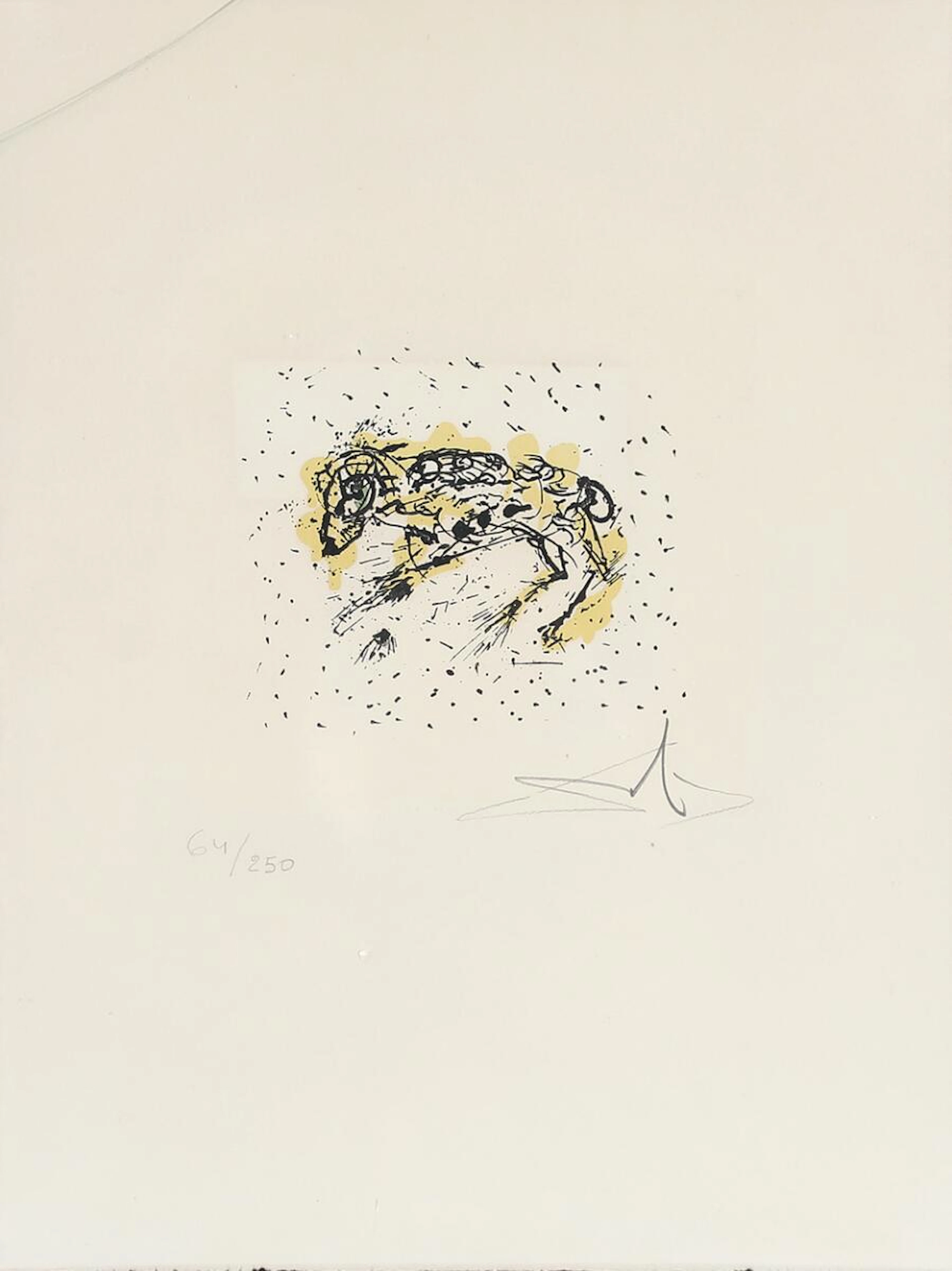 Salvador Dalí