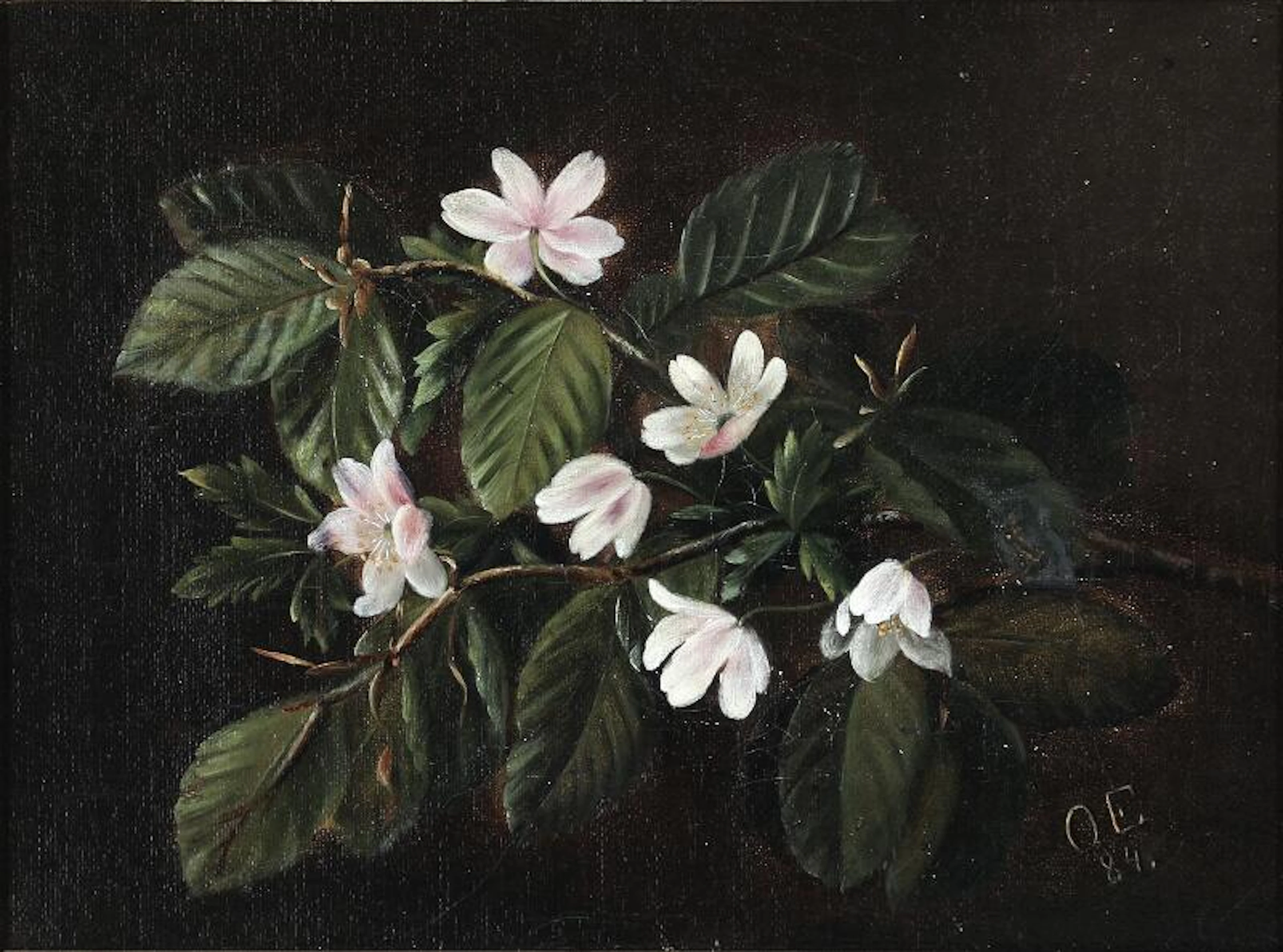 Otto Eckmann